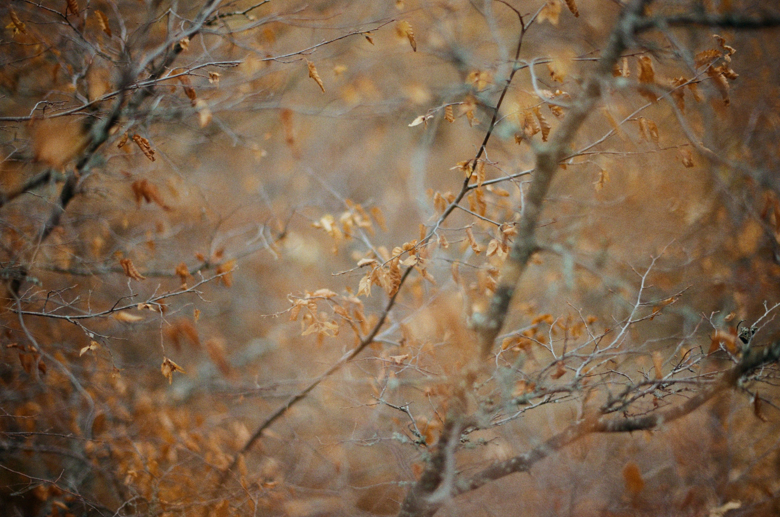 Wherever you will go // ukraine, crimea V. EVER EXPOSED