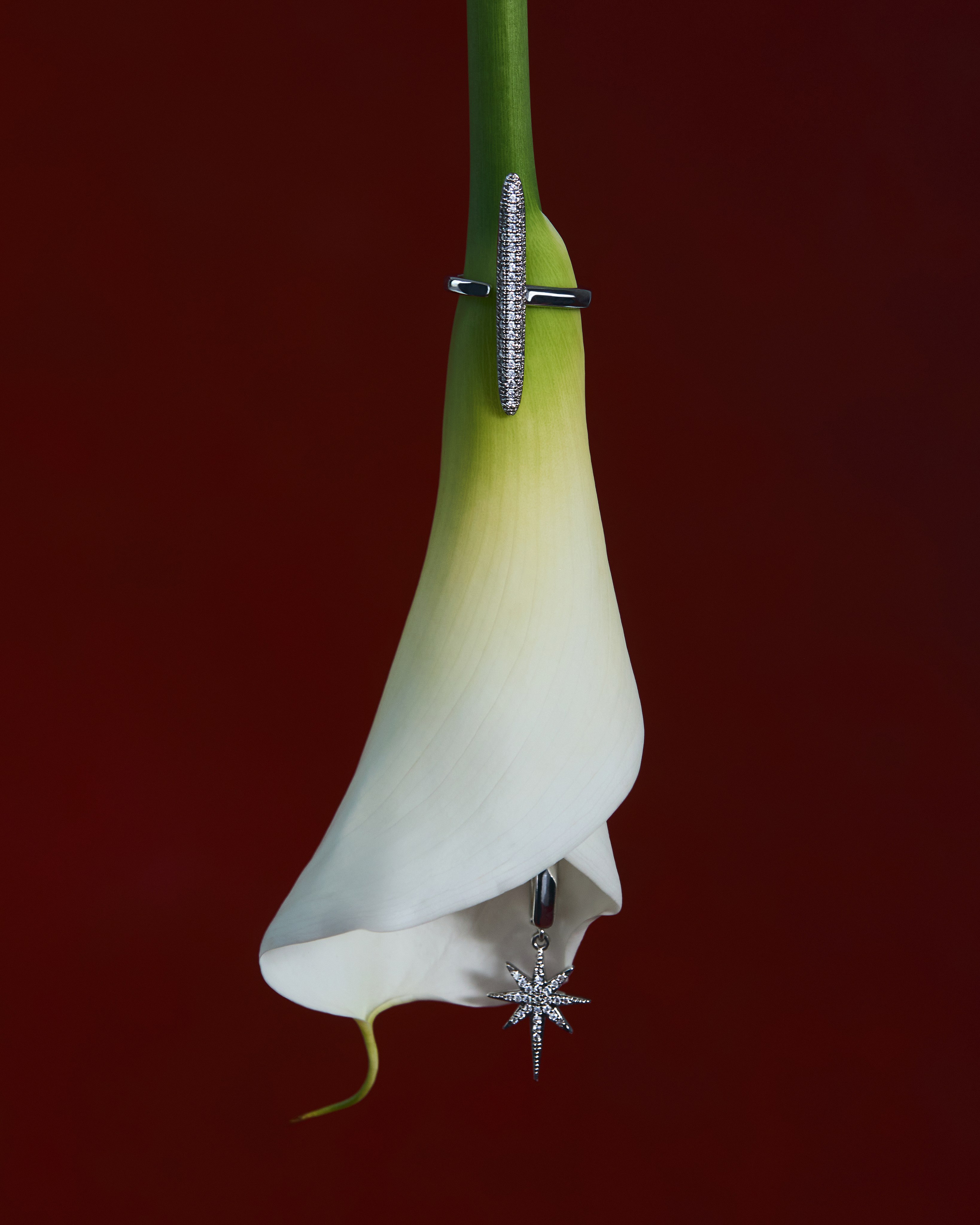 JEWELRY. Ann Pimenova | Retoucher