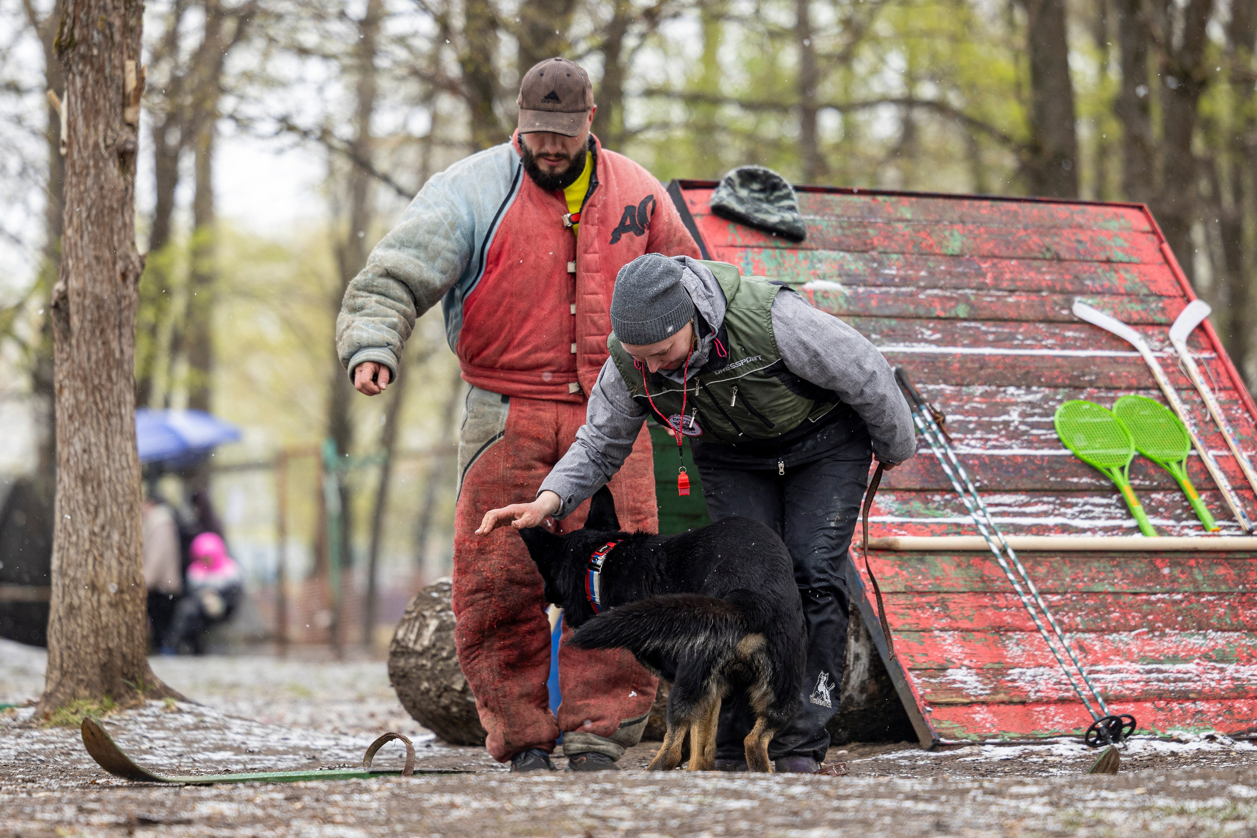 Квалификационные состязания по мондьорингу г. Вологда 11.05.24. Фотограф-анималист Анна Маринич