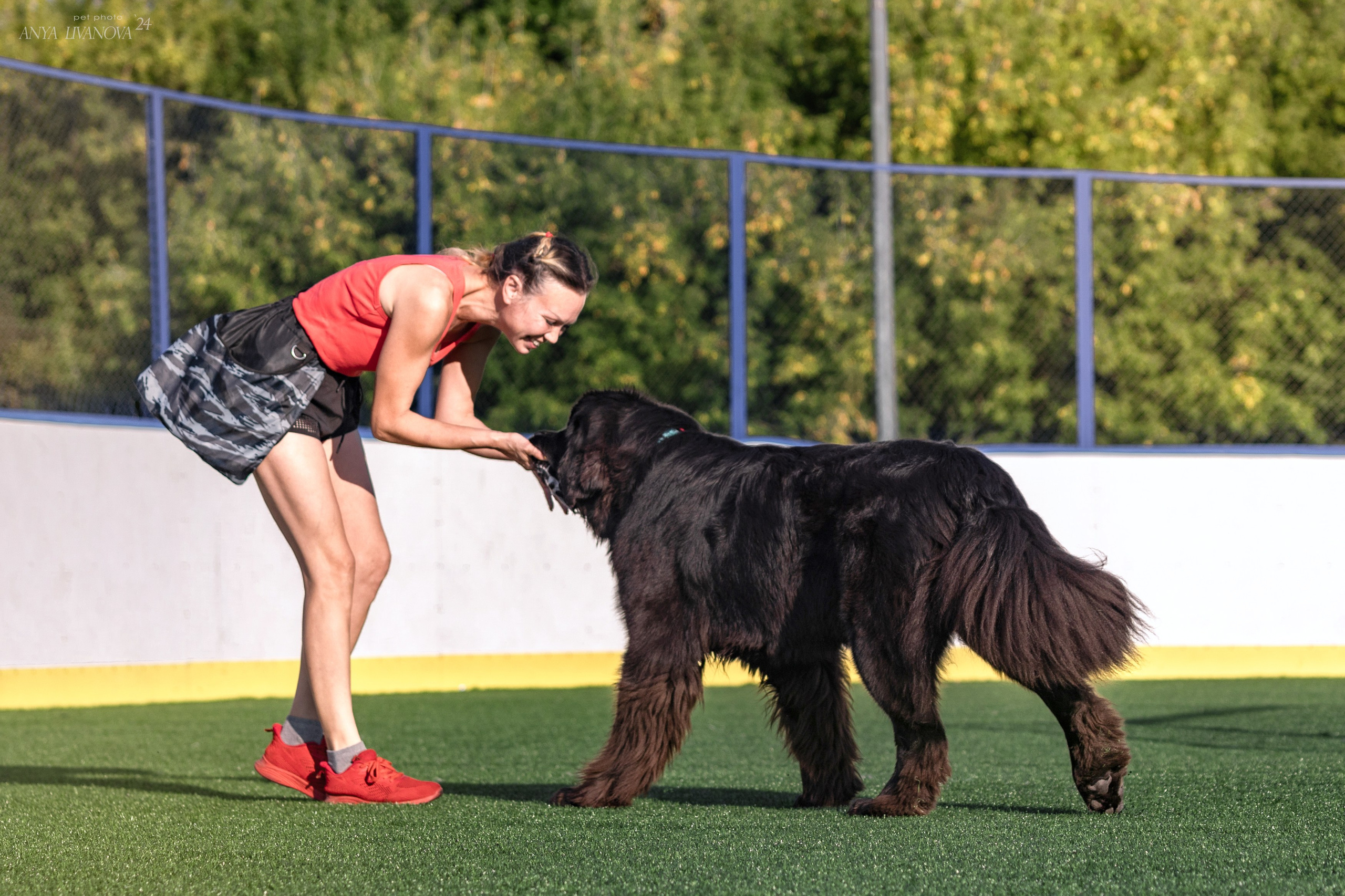 Ралли обидиенс. Фотограф анималист Аня Ливанова | Рыбинск