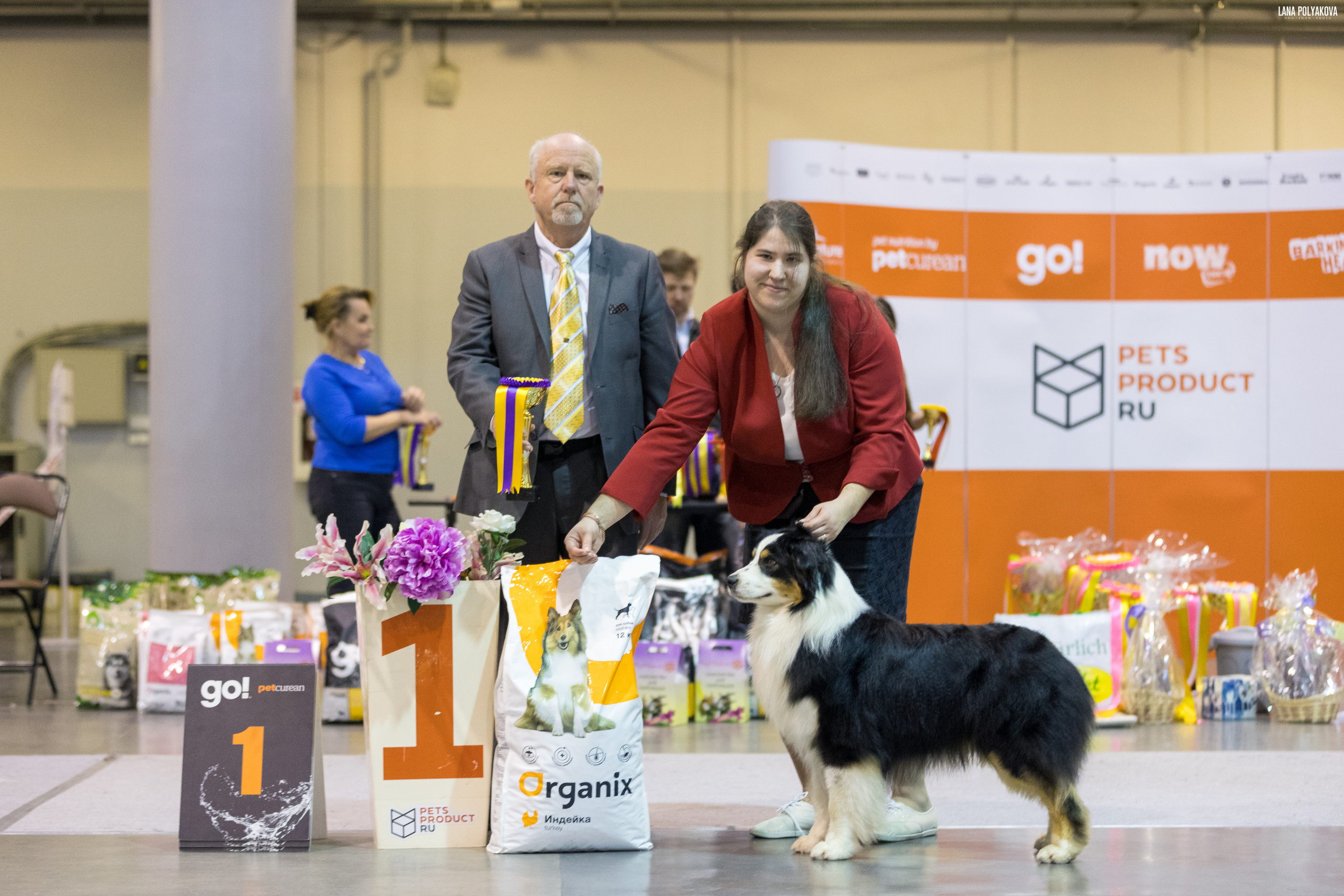 ШЕЛДОН. Питомник австралийских овчарок «APPLEDORE»