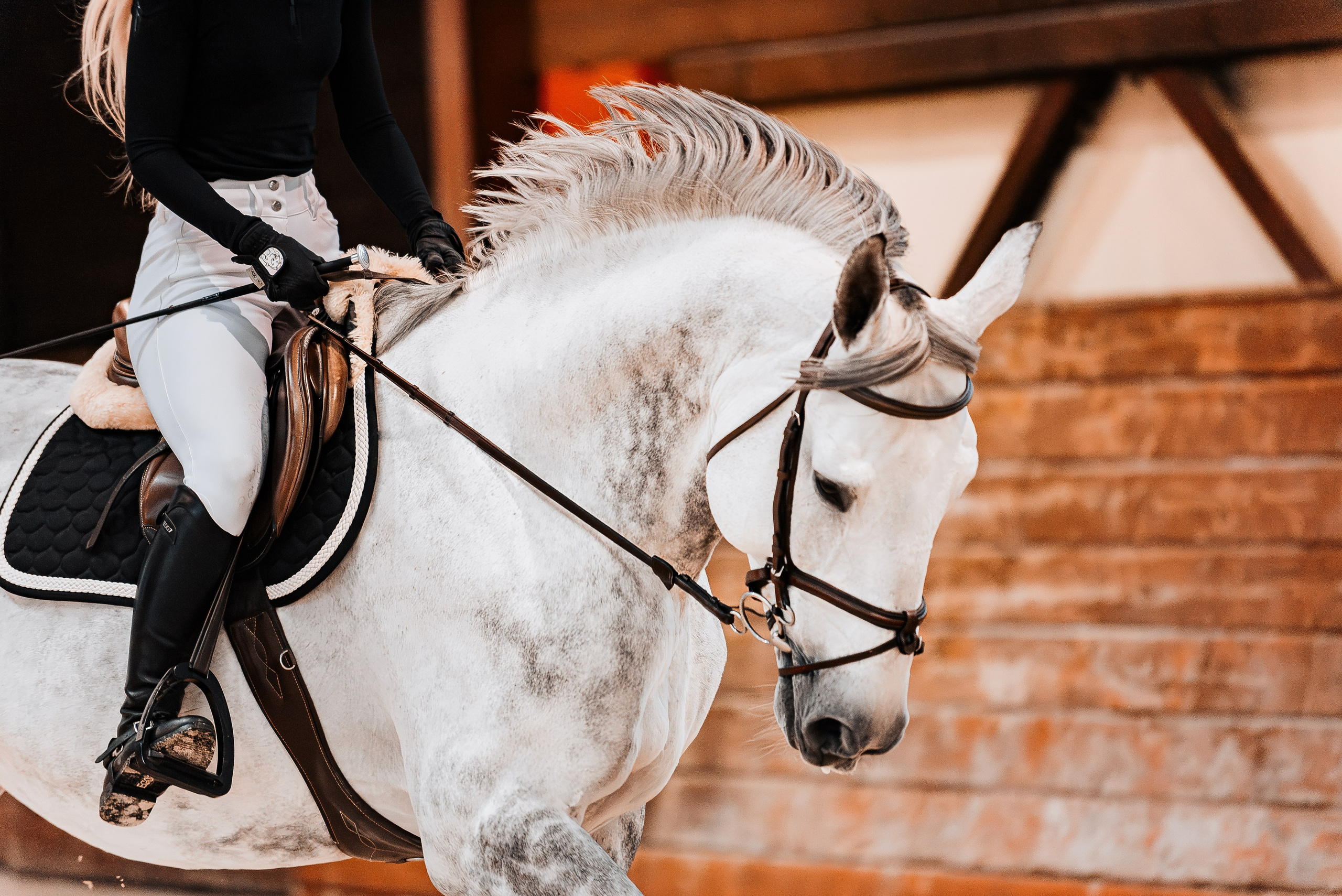 Анастасия и Соперник. Куракина Дарья • Конный фотограф