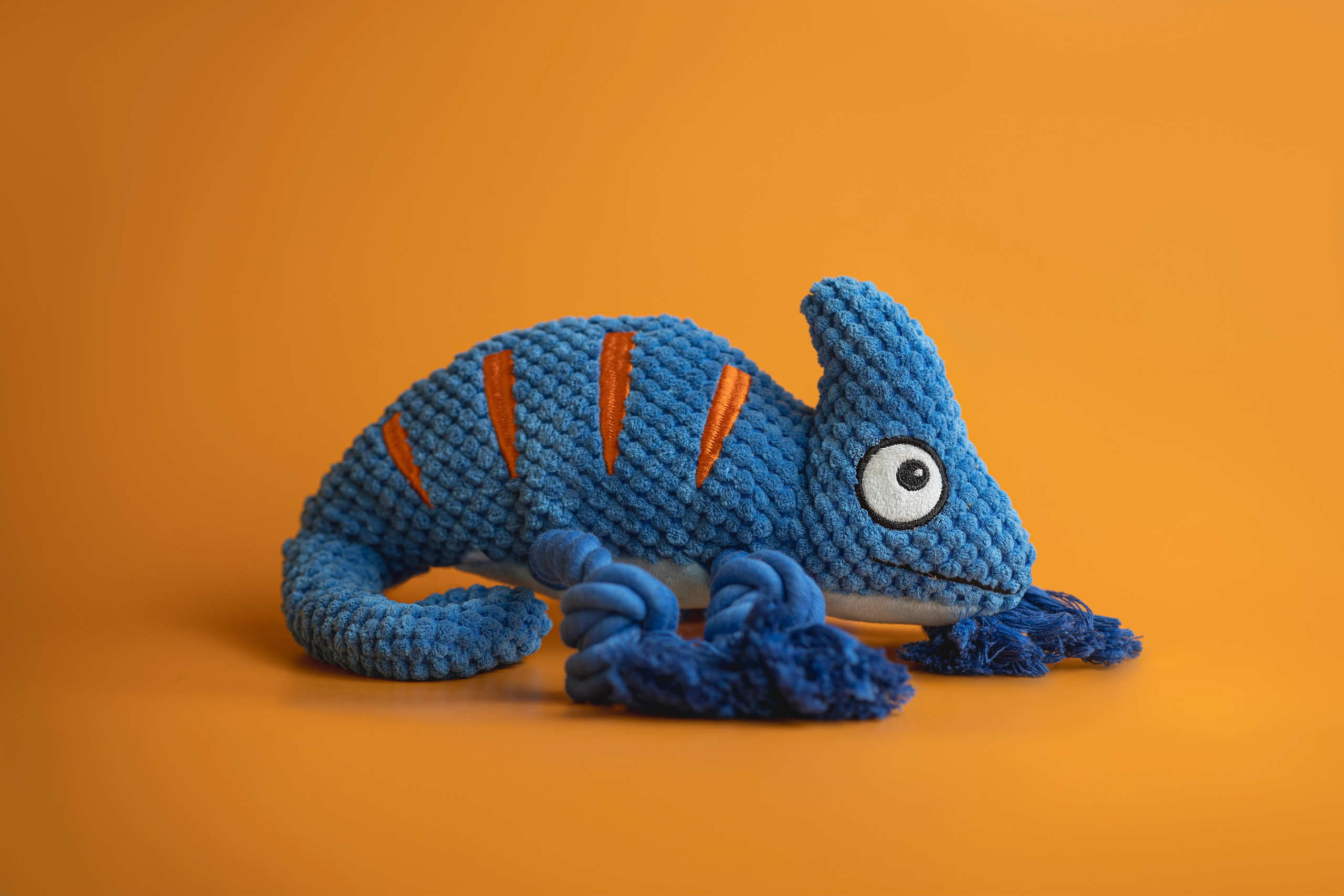 Для брендов. Фотограф анималист в Москве Майорова Евгения