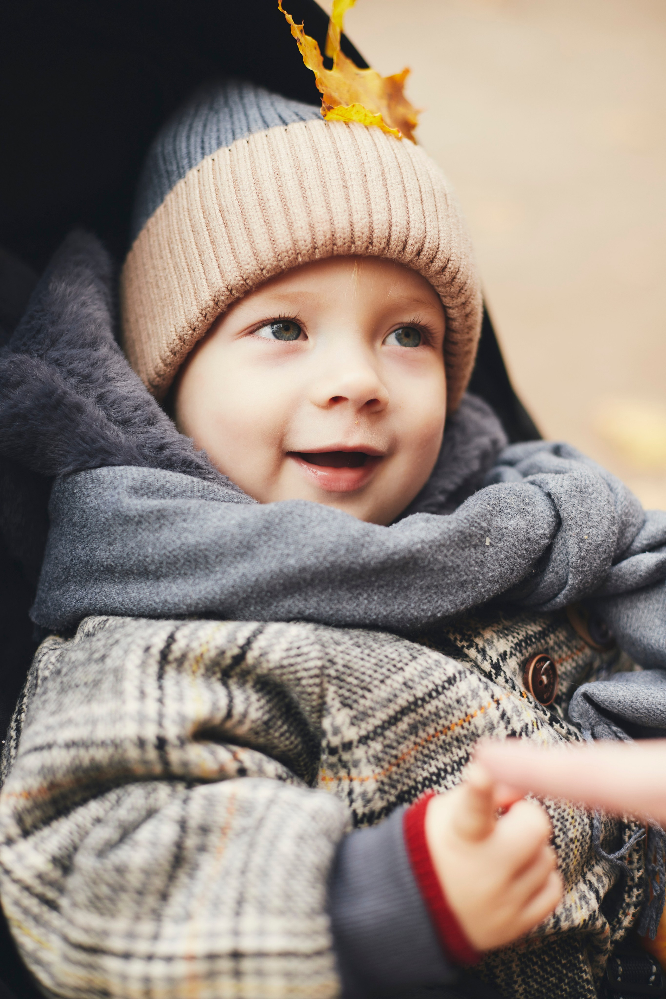 Семейные. Портретный фотограф, Москва