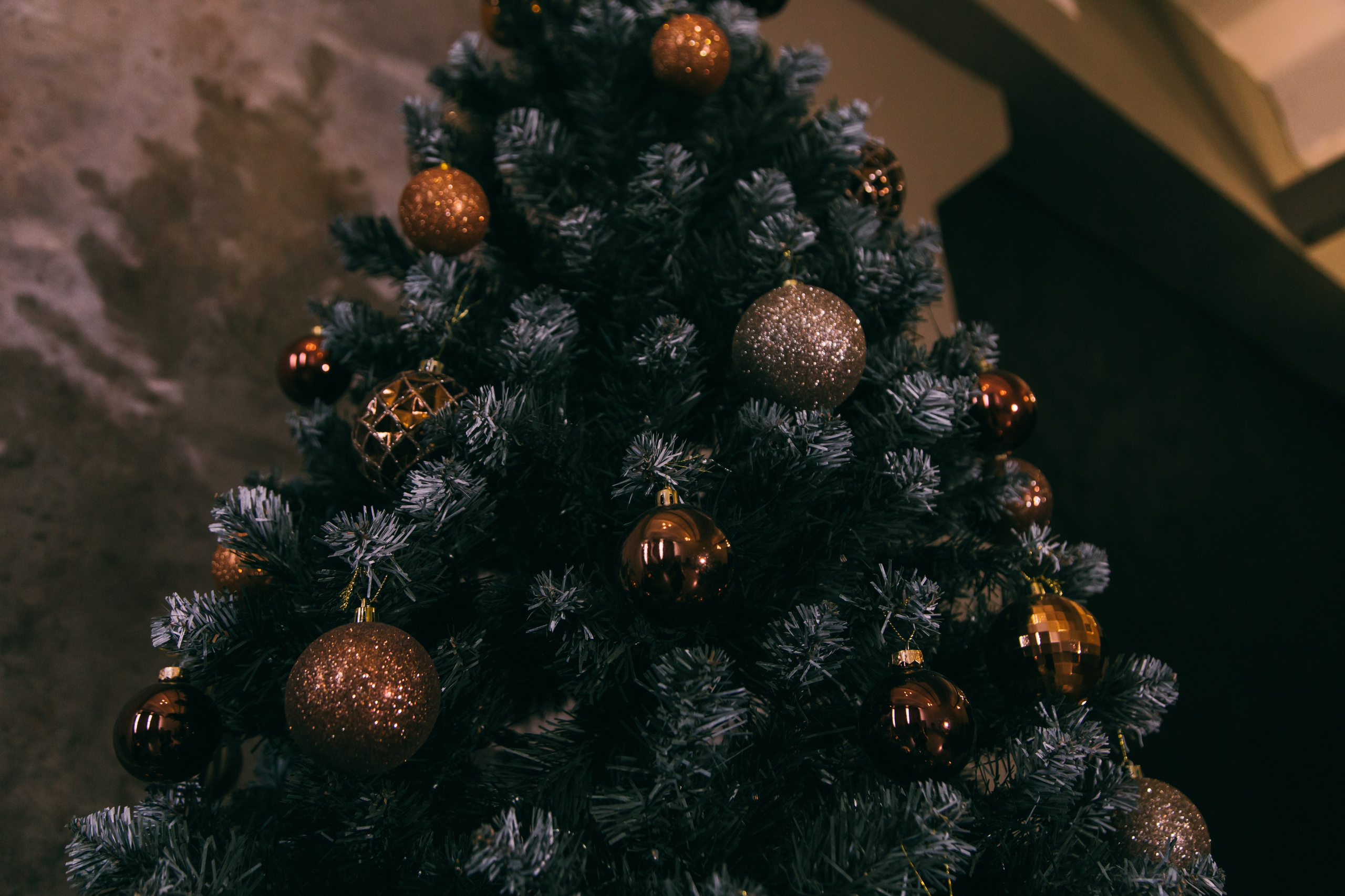 Стилист & Progorod 2.0. Фотограф в Самаре / Олеся Широнина