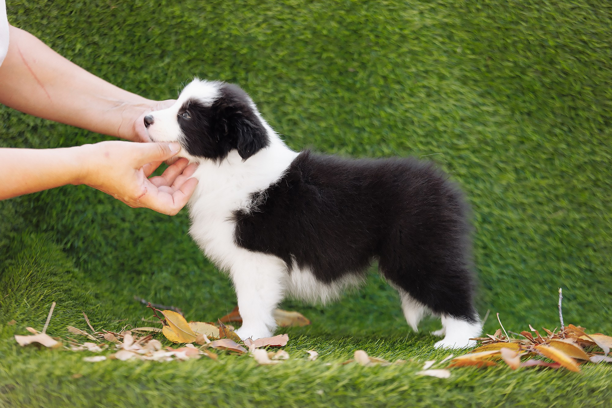 Новый лист. О нас