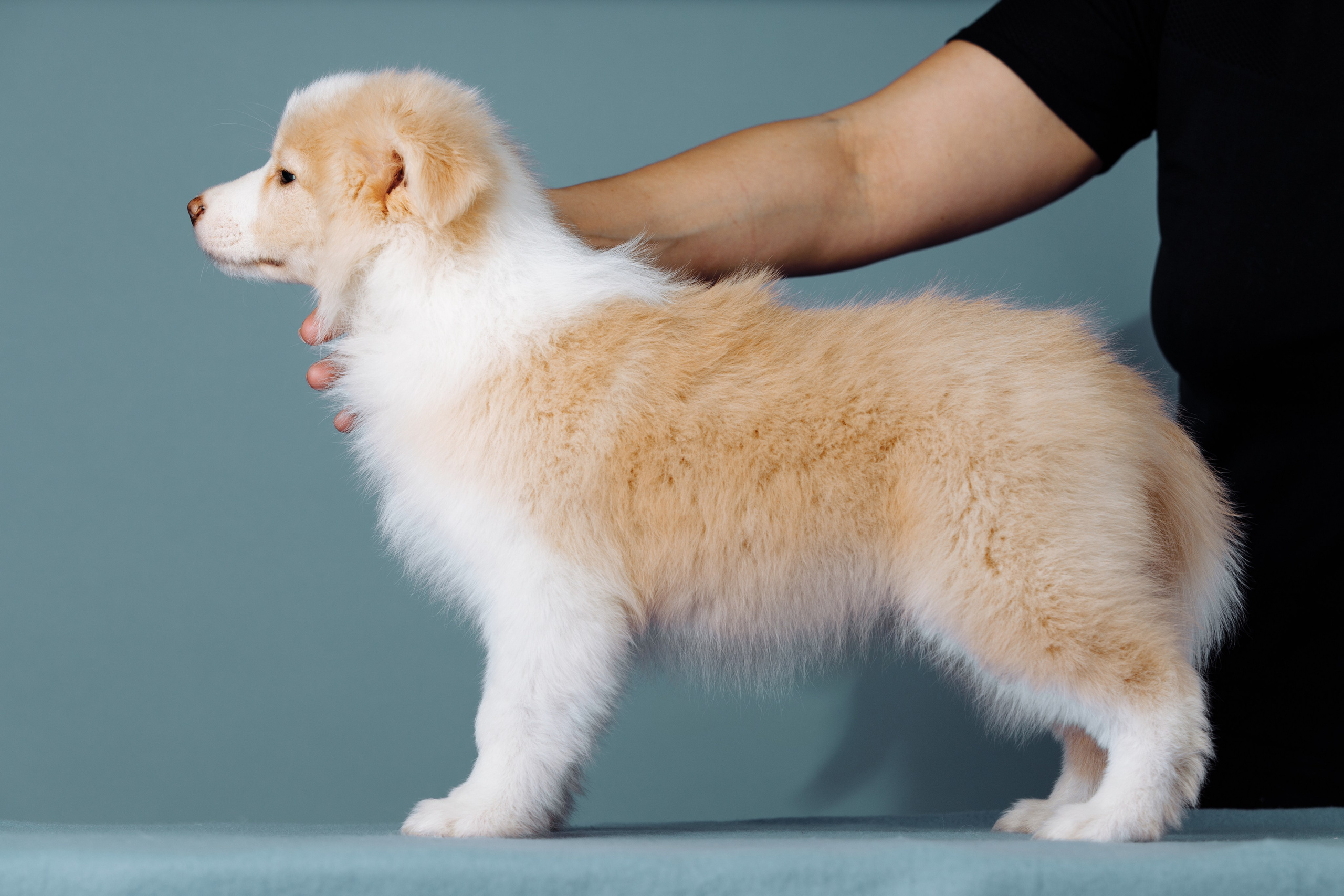 Март. Весна. 22. О нас