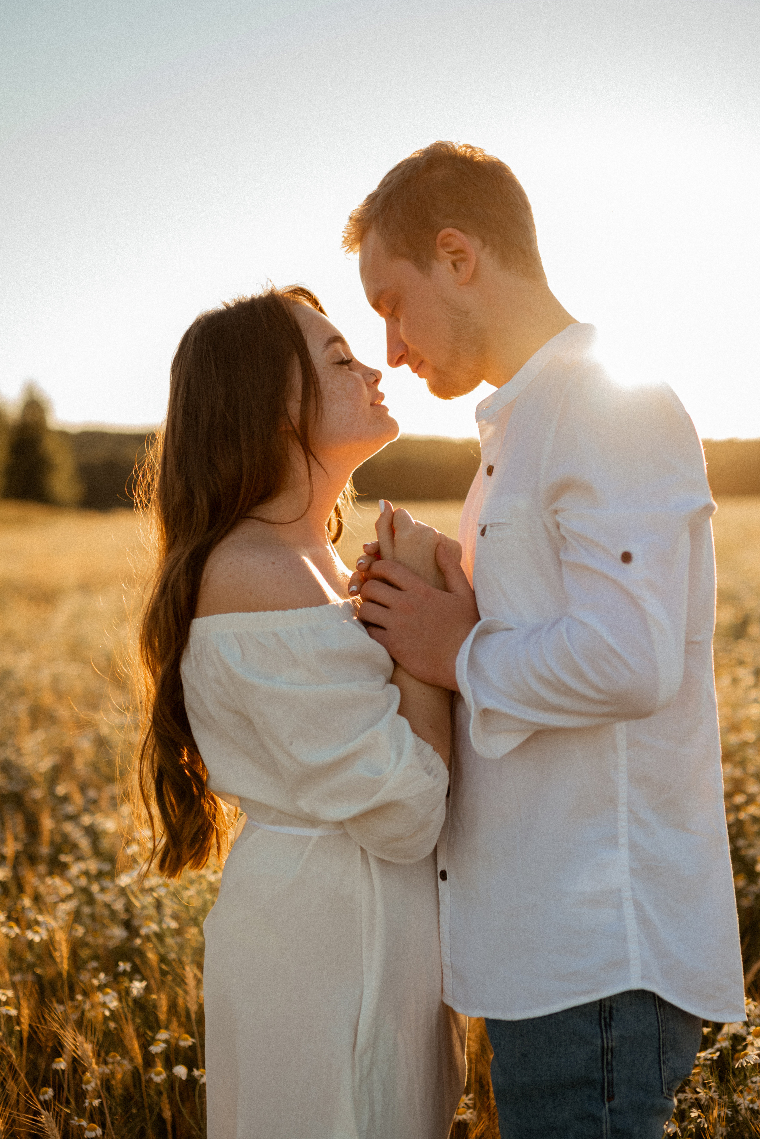 Ромашки. Свадебный и Семейный фотограф в Ярославле Алёна Колясникова