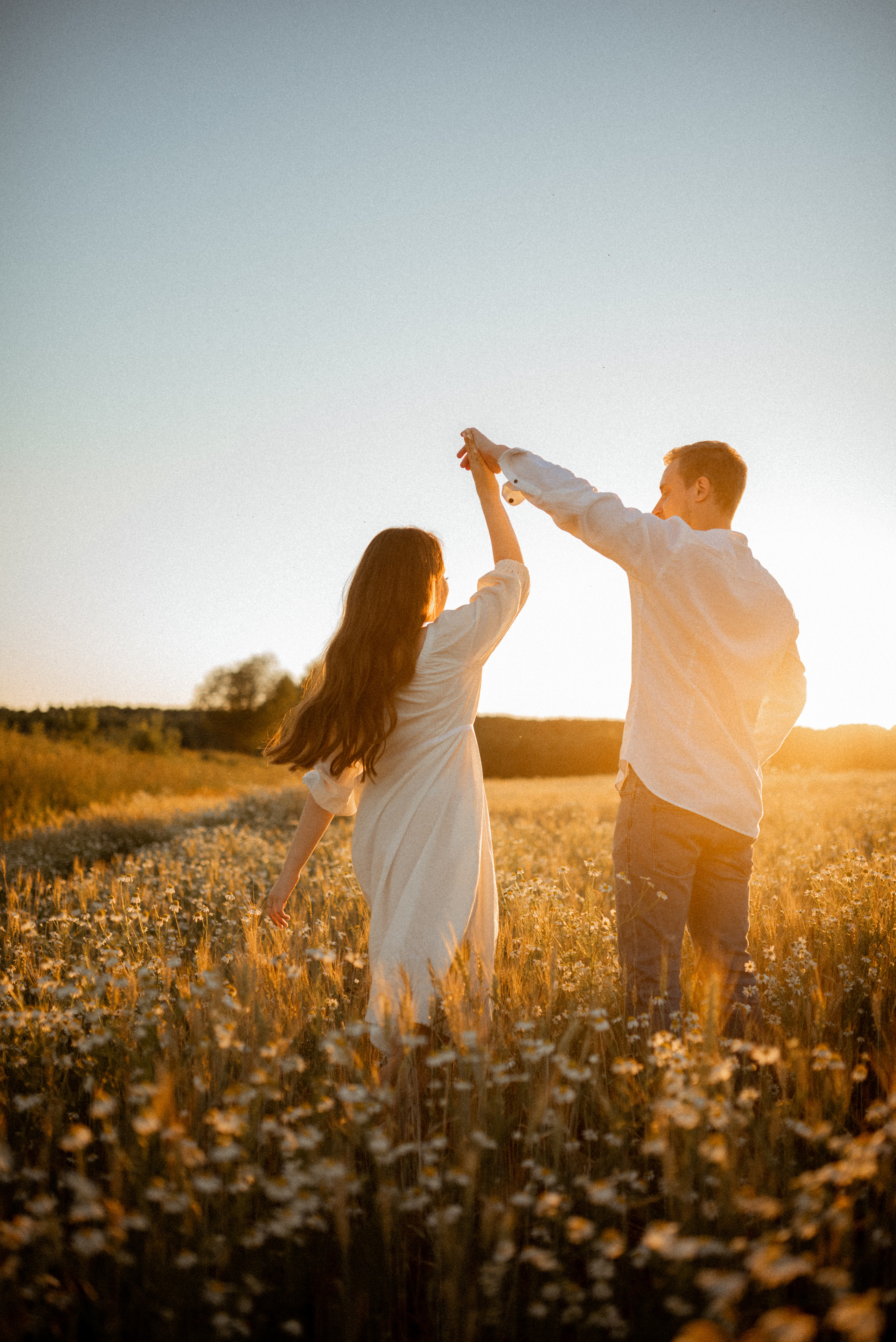Ромашки. Свадебный и Семейный фотограф в Ярославле Алёна Колясникова