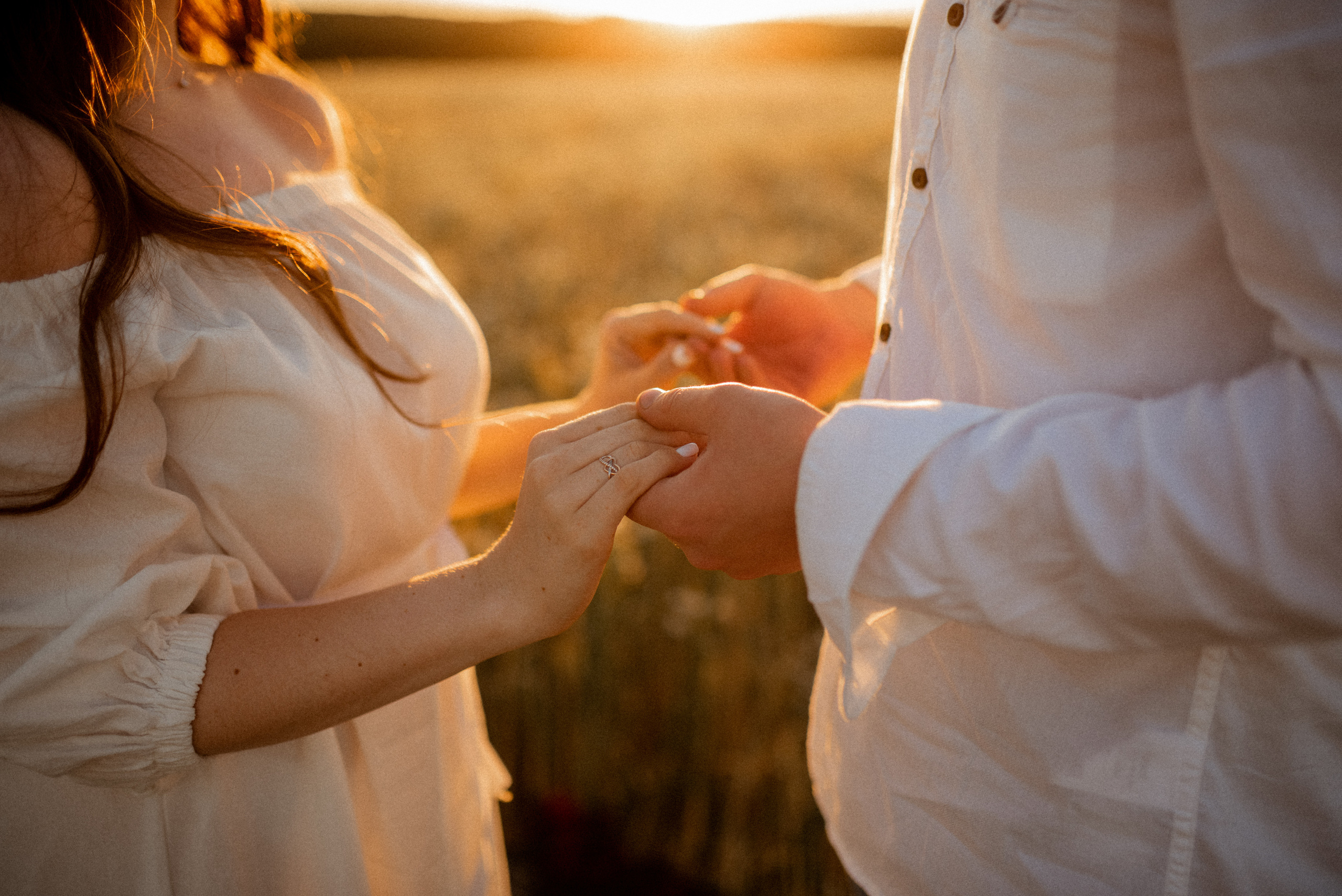 Ромашки. Свадебный и Семейный фотограф в Ярославле Алёна Колясникова