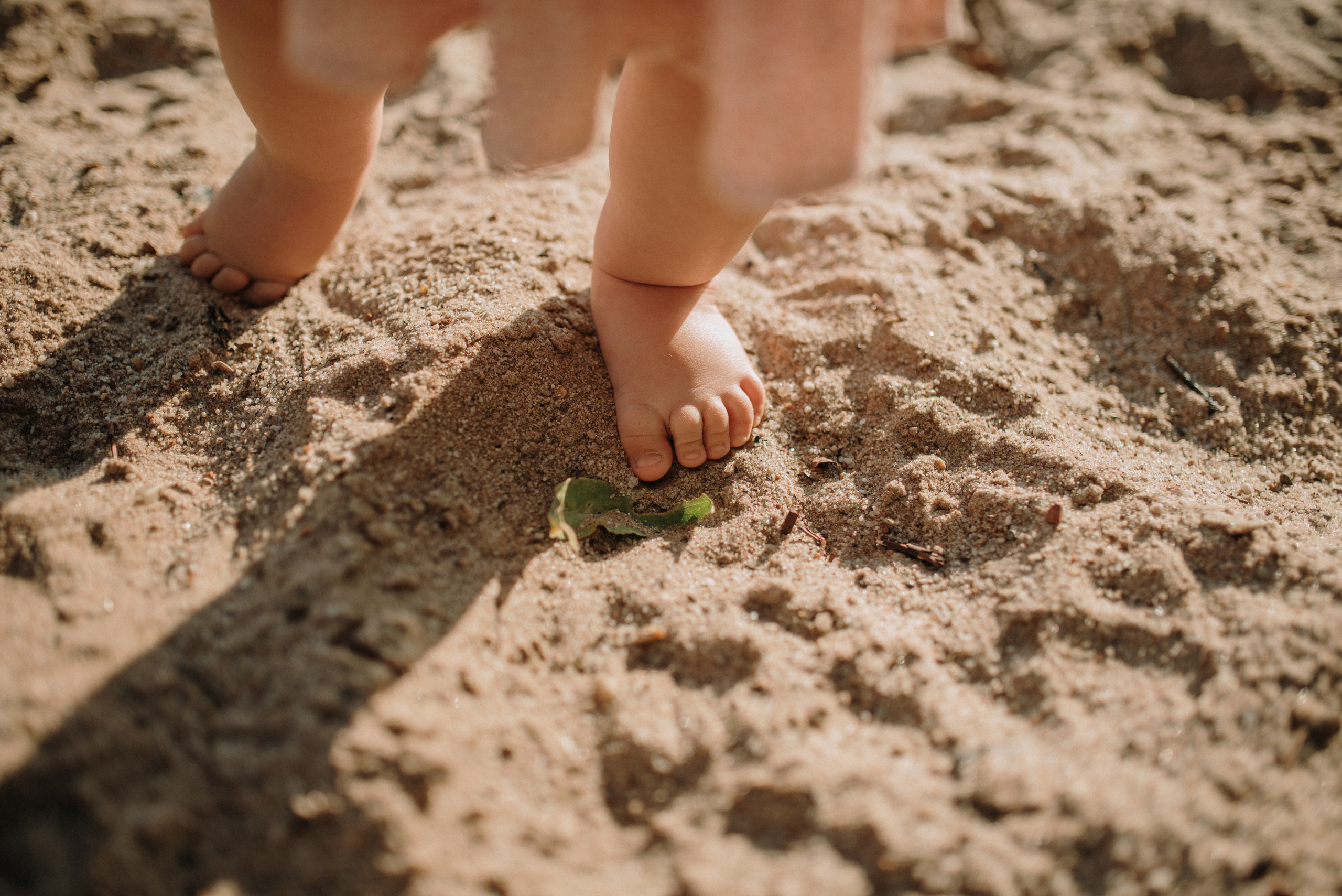 Семейные съемки. Свадебный и Семейный фотограф в Ярославле Алёна Колясникова