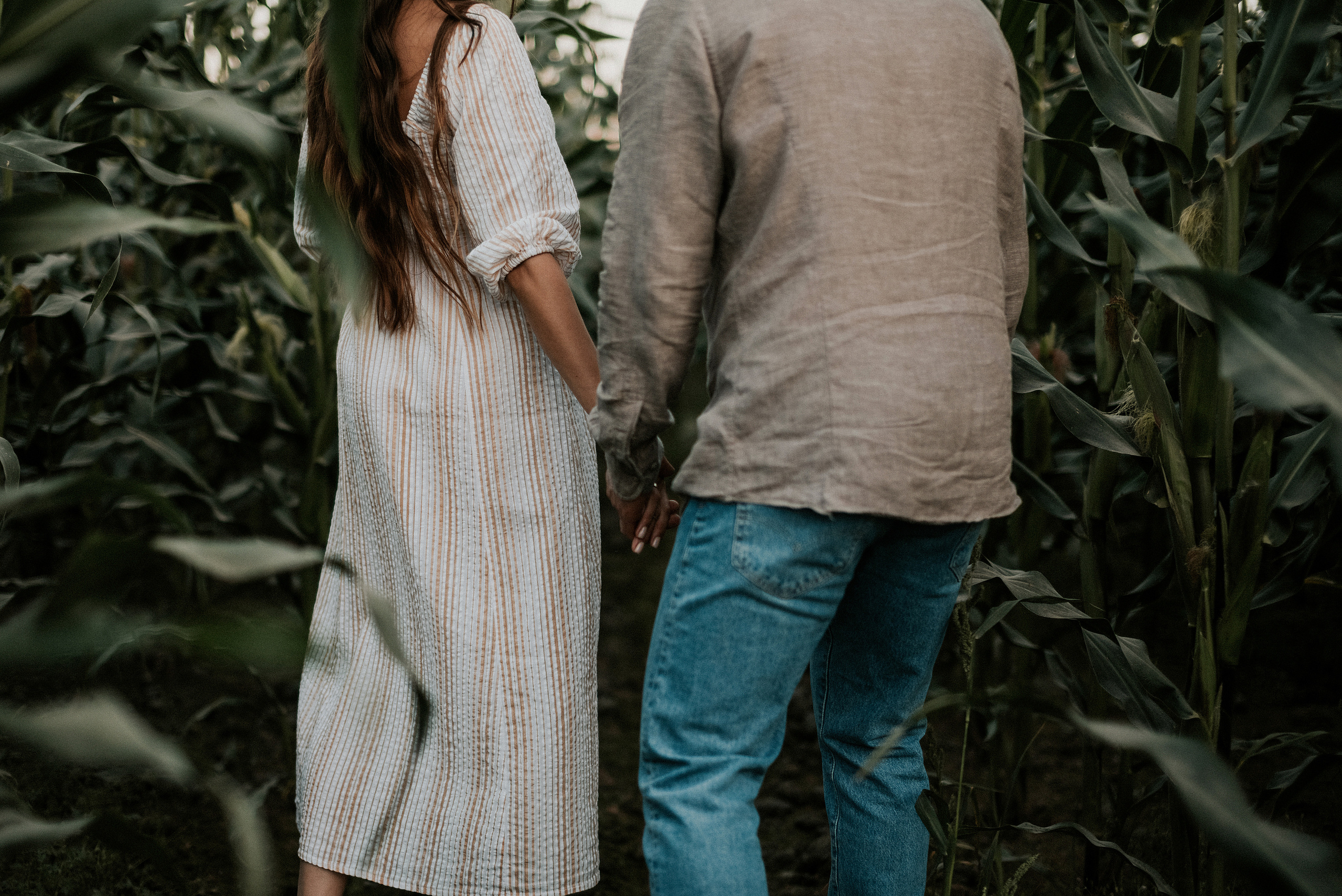 Кукуруза. Свадебный и Семейный фотограф в Ярославле Алёна Колясникова