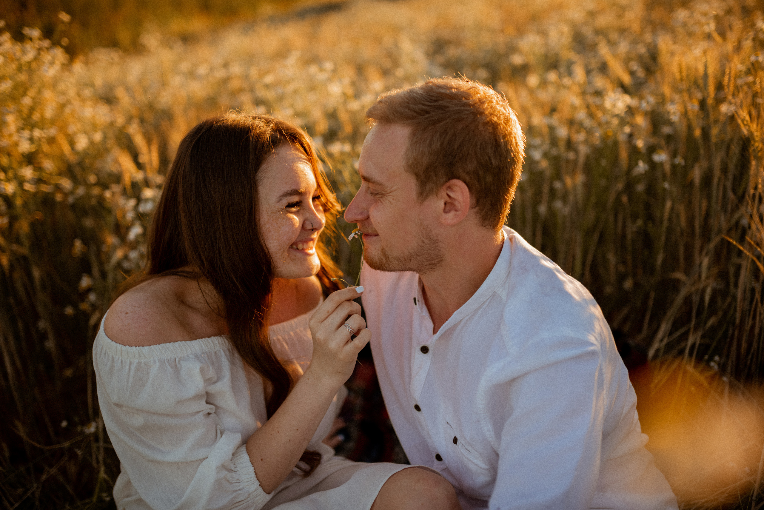 Ромашки. Свадебный и Семейный фотограф в Ярославле Алёна Колясникова