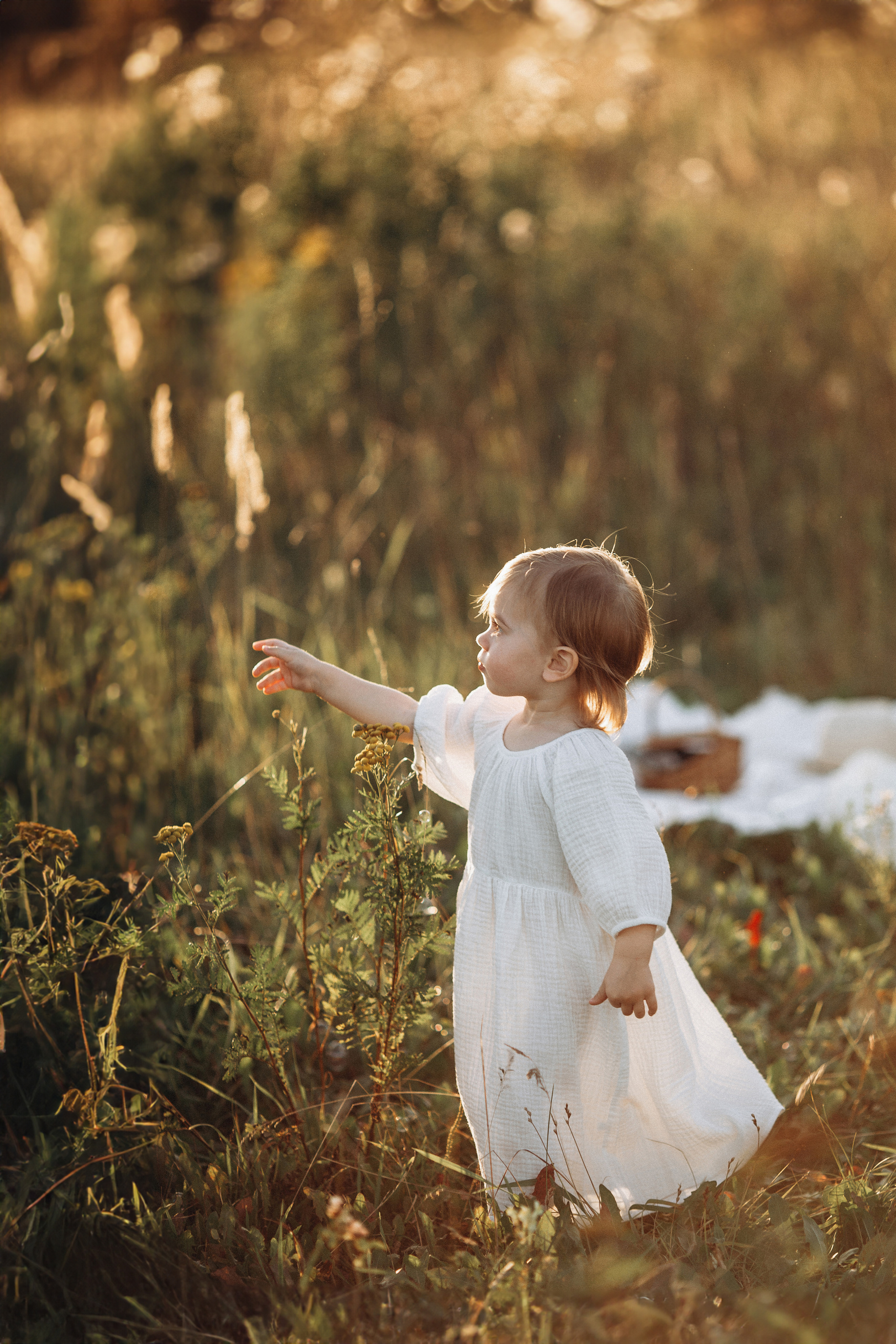 Аня, Сергей, Лера и Ори, фотосессия в поле. Семейный фотограф в Москве Марина Петра