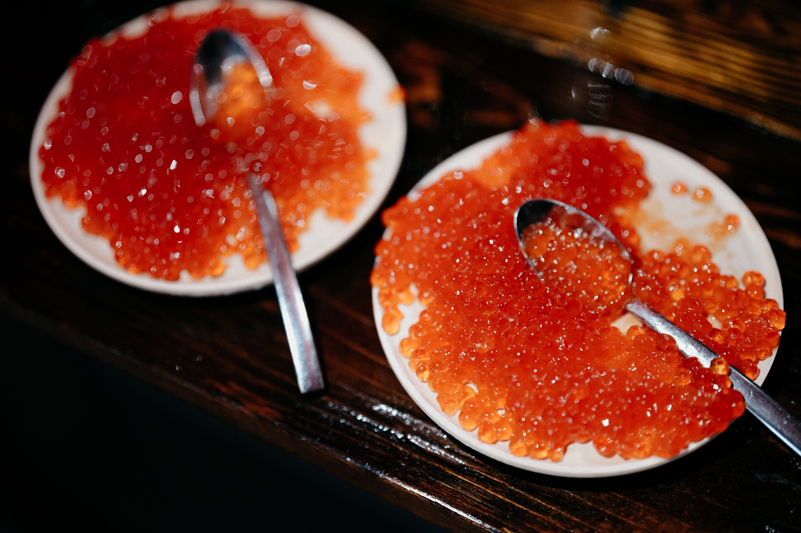 WOW FORUM. Фотограф в Москве Дмитрий Рогов