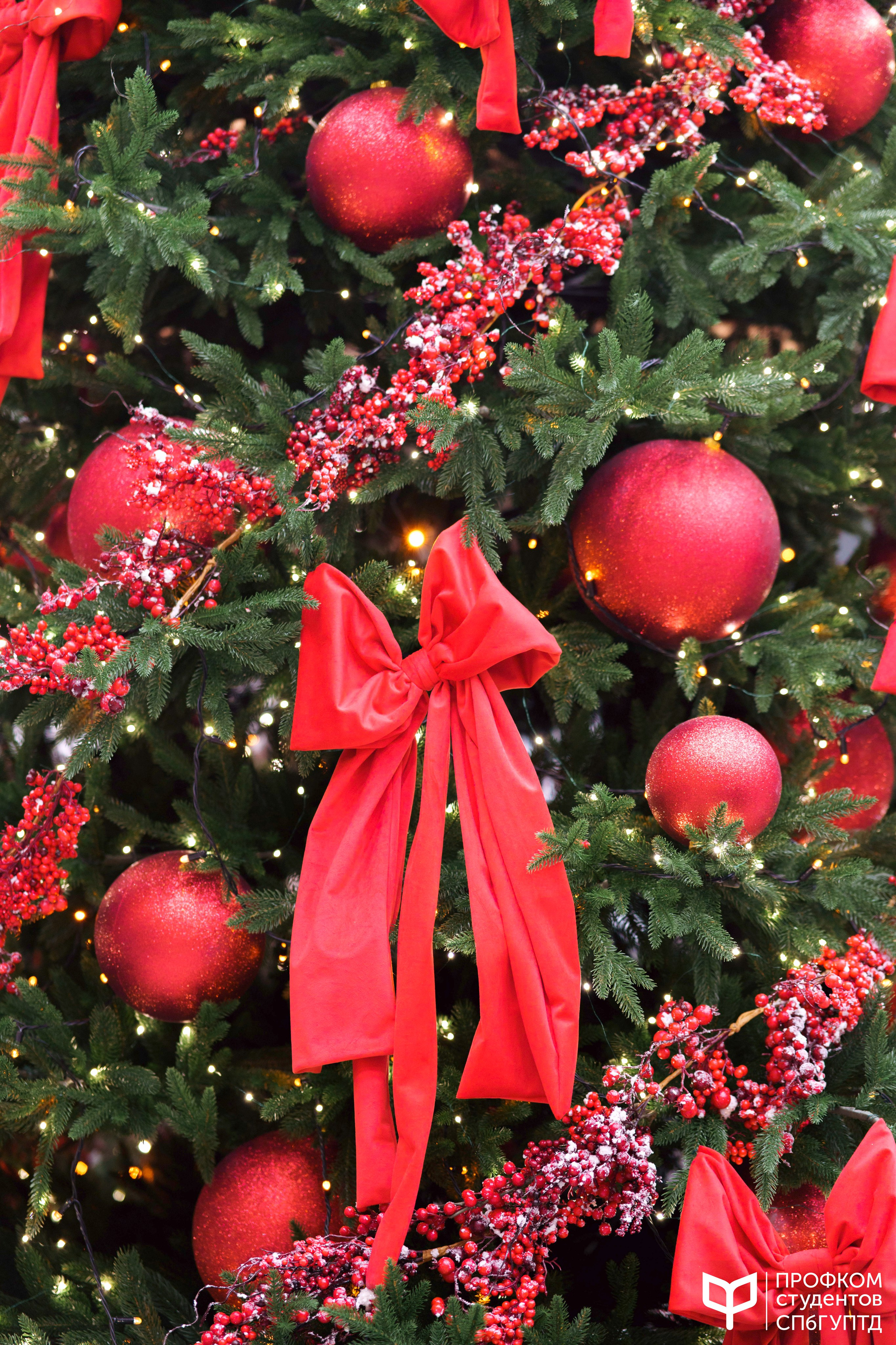 Новогодняя ярмарка 2024. Фотограф в Санкт-Петербурге Ибрагимова Алина