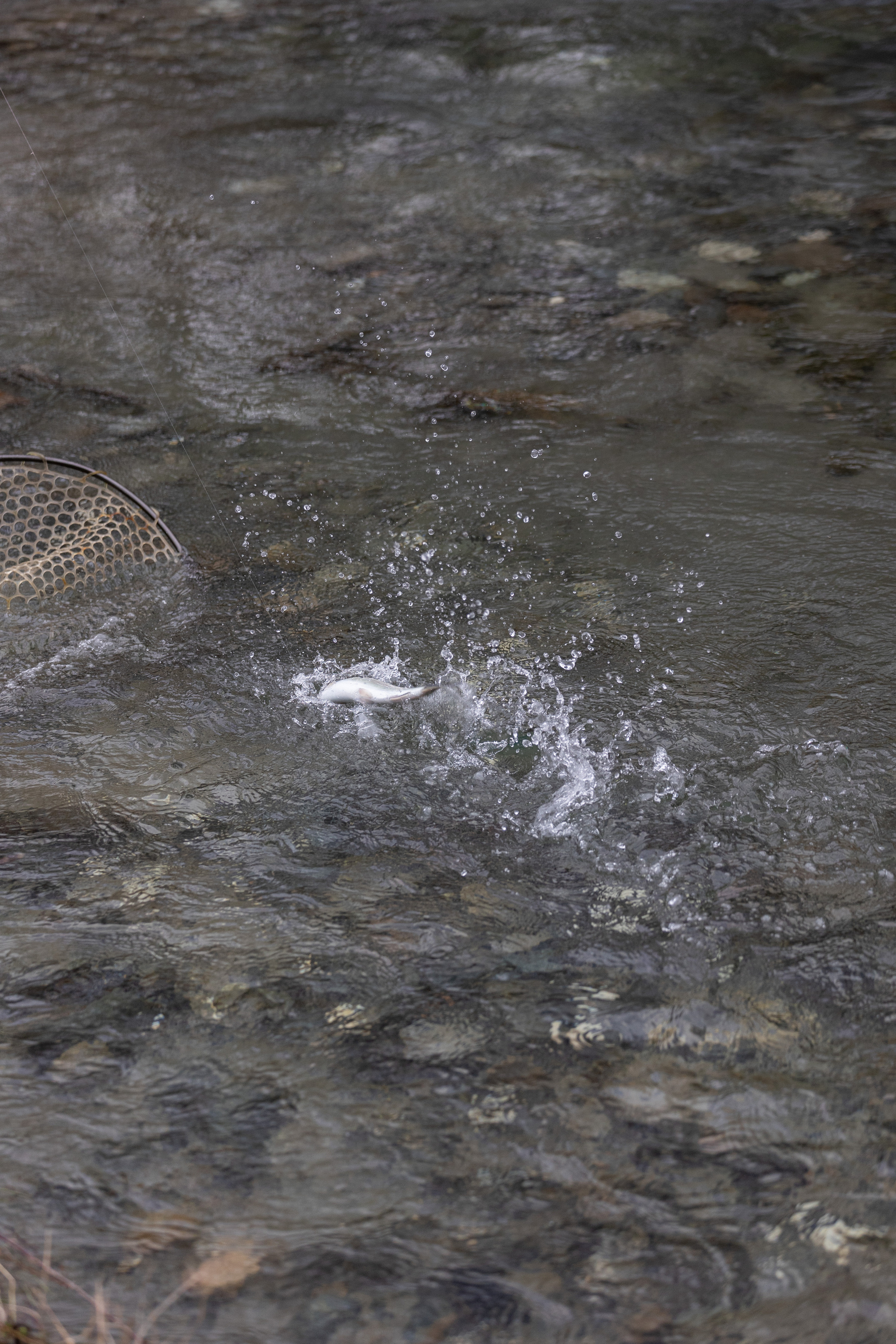 Fishing. Photographer in Saint-Petersburg and Moscow Max Spector