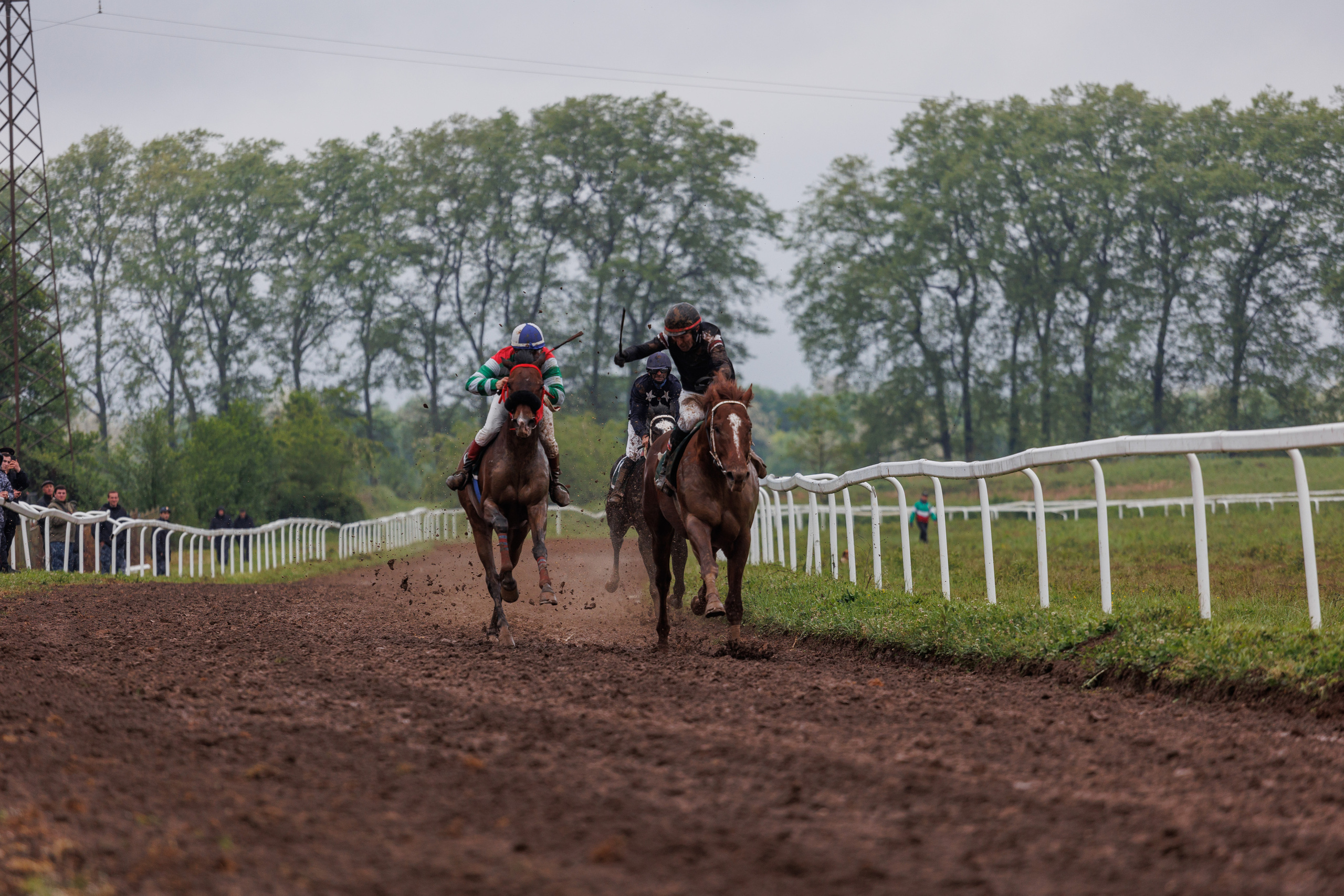 Horse racing. Photographer in Saint-Petersburg and Moscow Max Spector