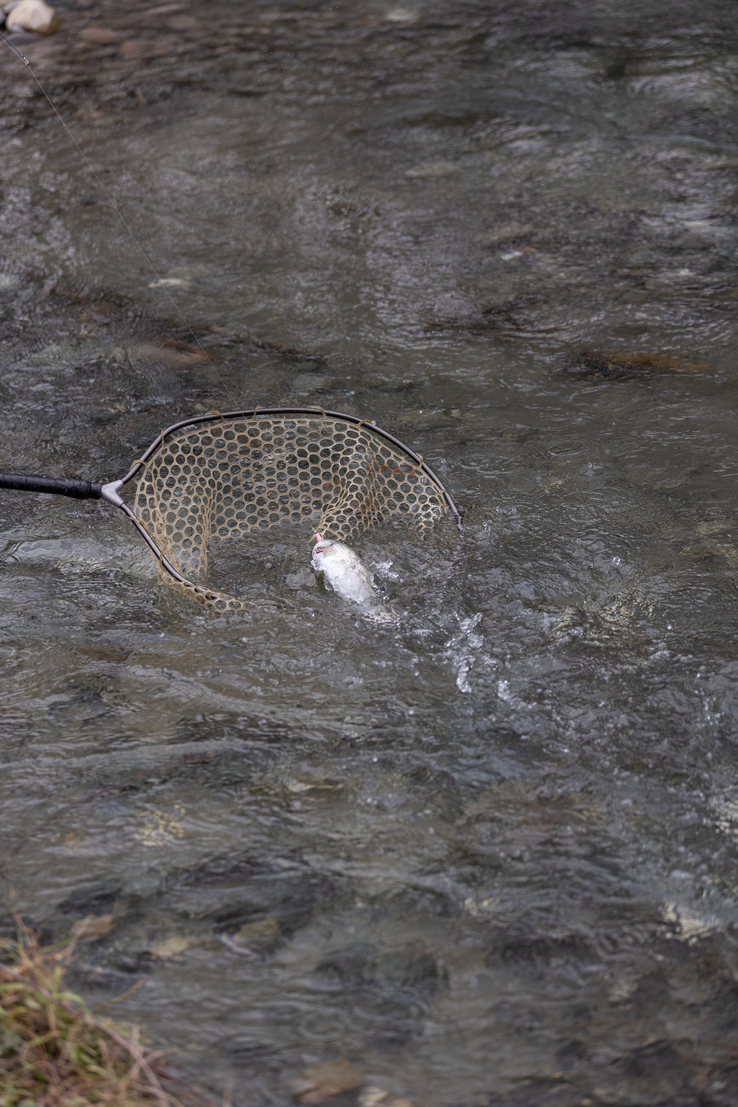 Fishing. Photographer in Saint-Petersburg and Moscow Max Spector