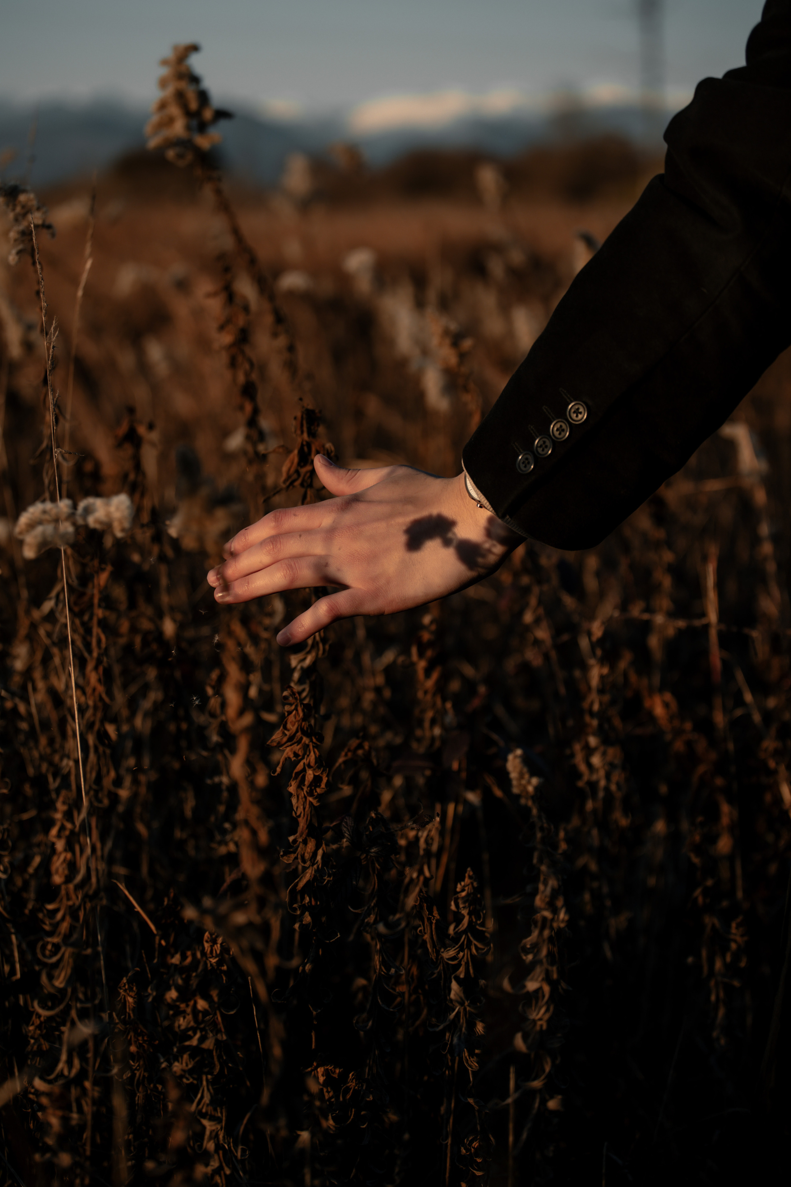 Поля с кириллом. Фотограф в Санкт-Петербурге и Москве Макс Спектор