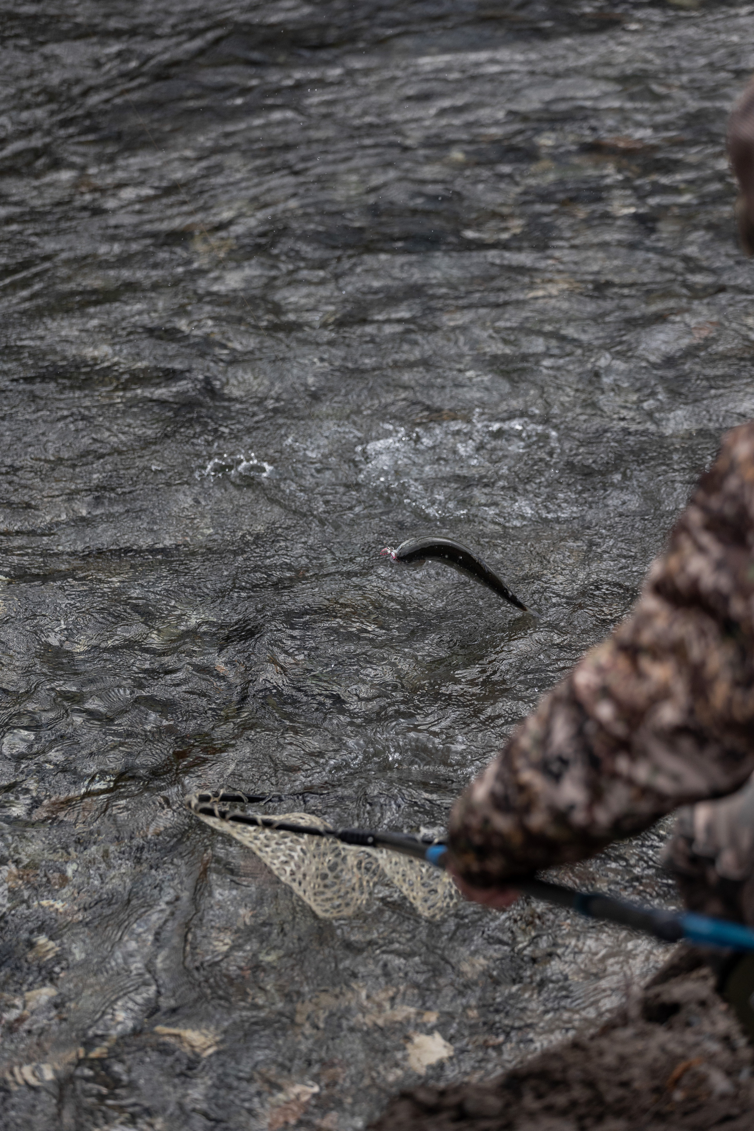 Fishing. Photographer in Saint-Petersburg and Moscow Max Spector