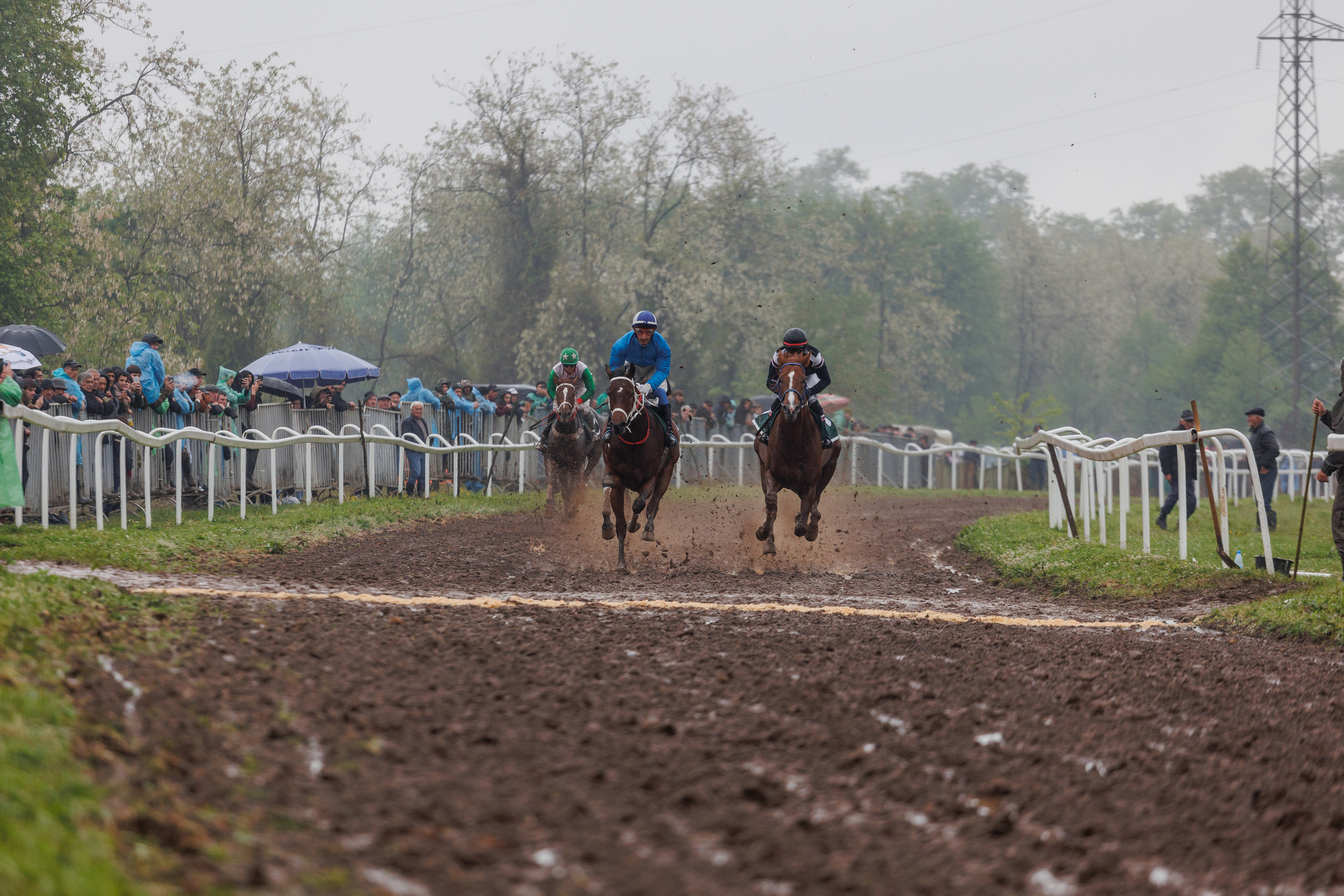 Horse racing. Photographer in Saint-Petersburg and Moscow Max Spector