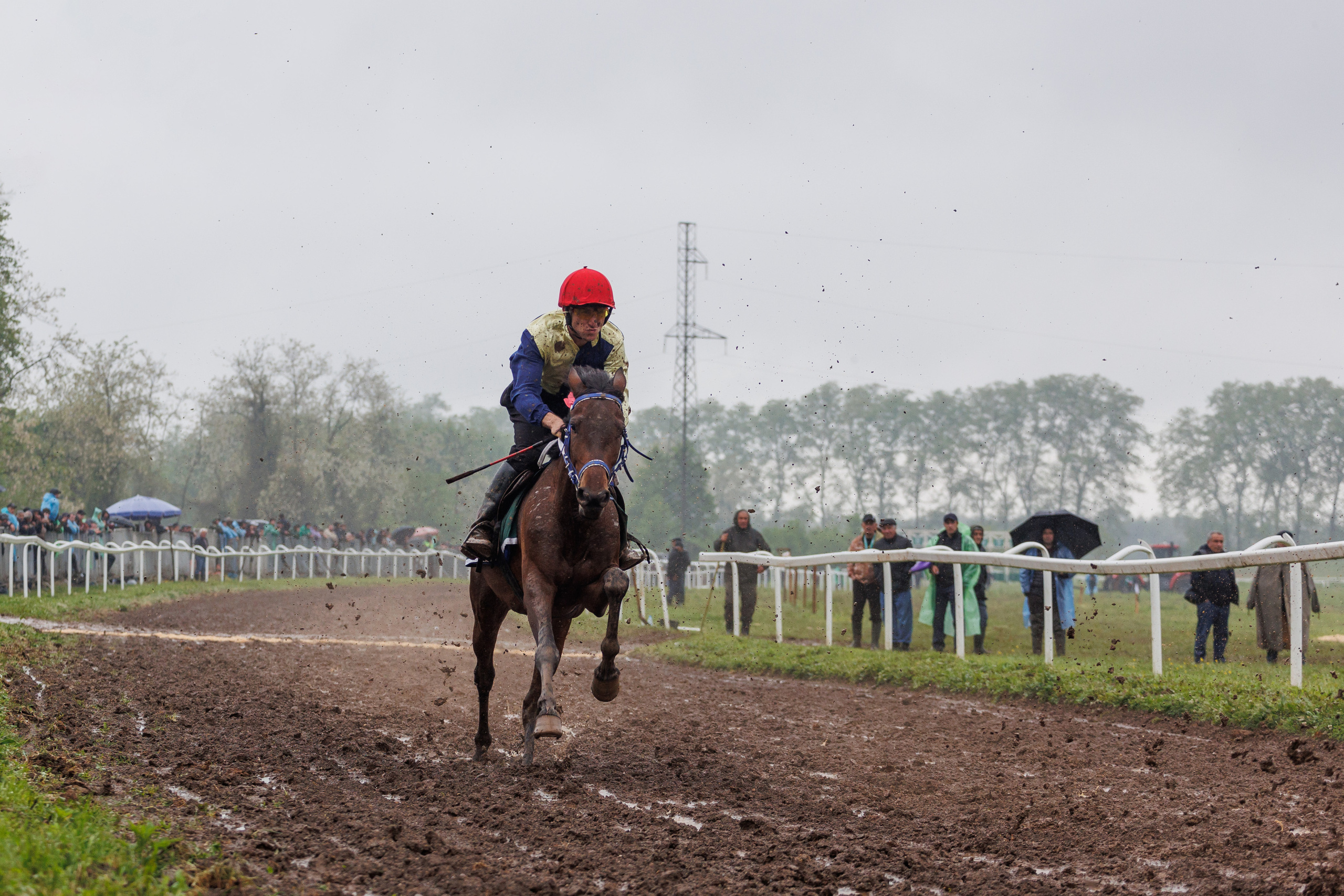 Horse racing. Photographer in Saint-Petersburg and Moscow Max Spector