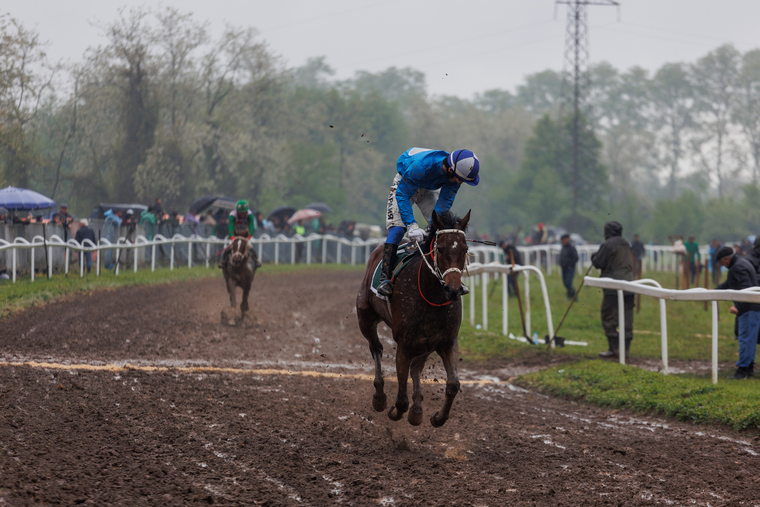 Horse racing. Photographer in Saint-Petersburg and Moscow Max Spector