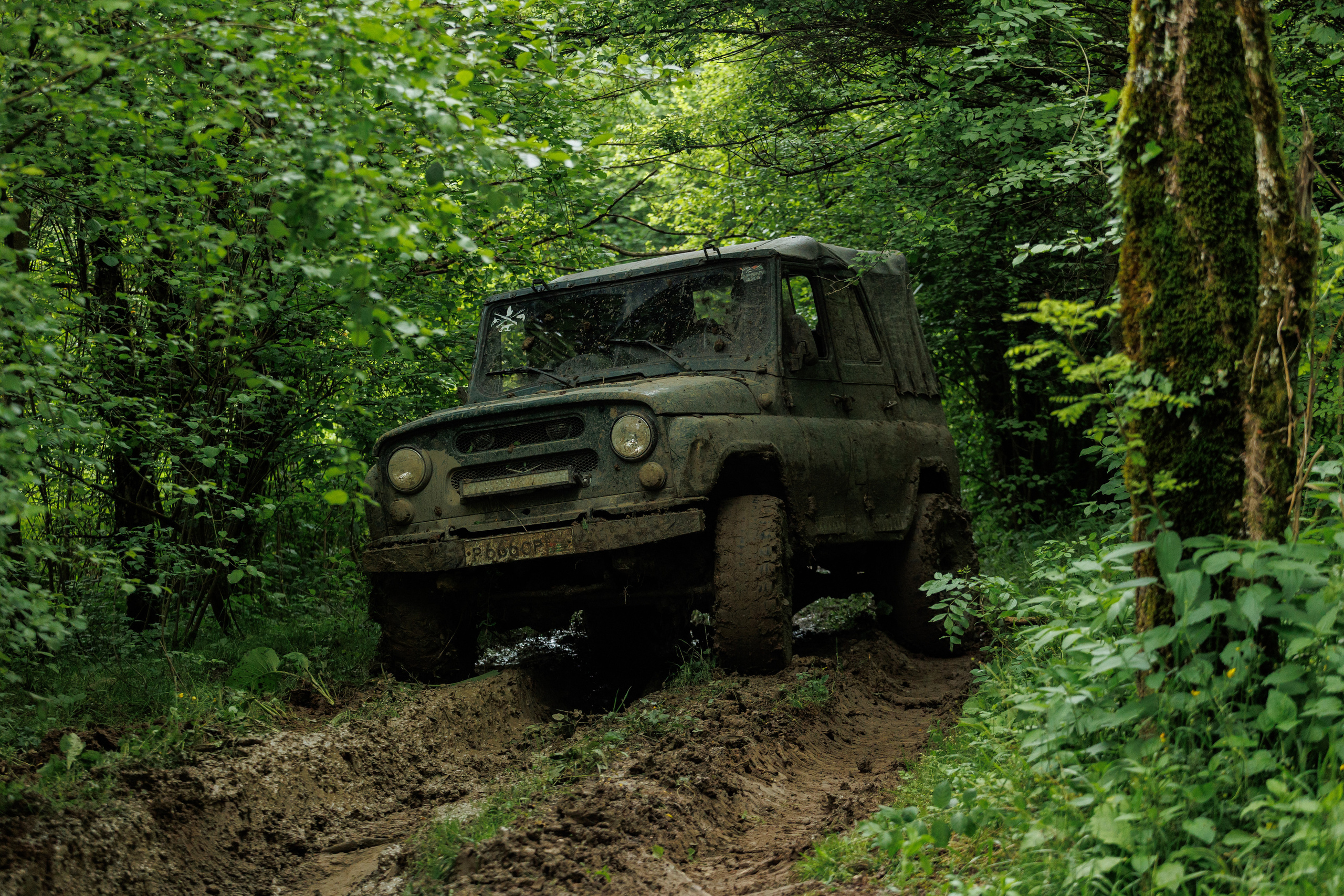 Джиппинг. Фотограф в Санкт-Петербурге и Москве Макс Спектор