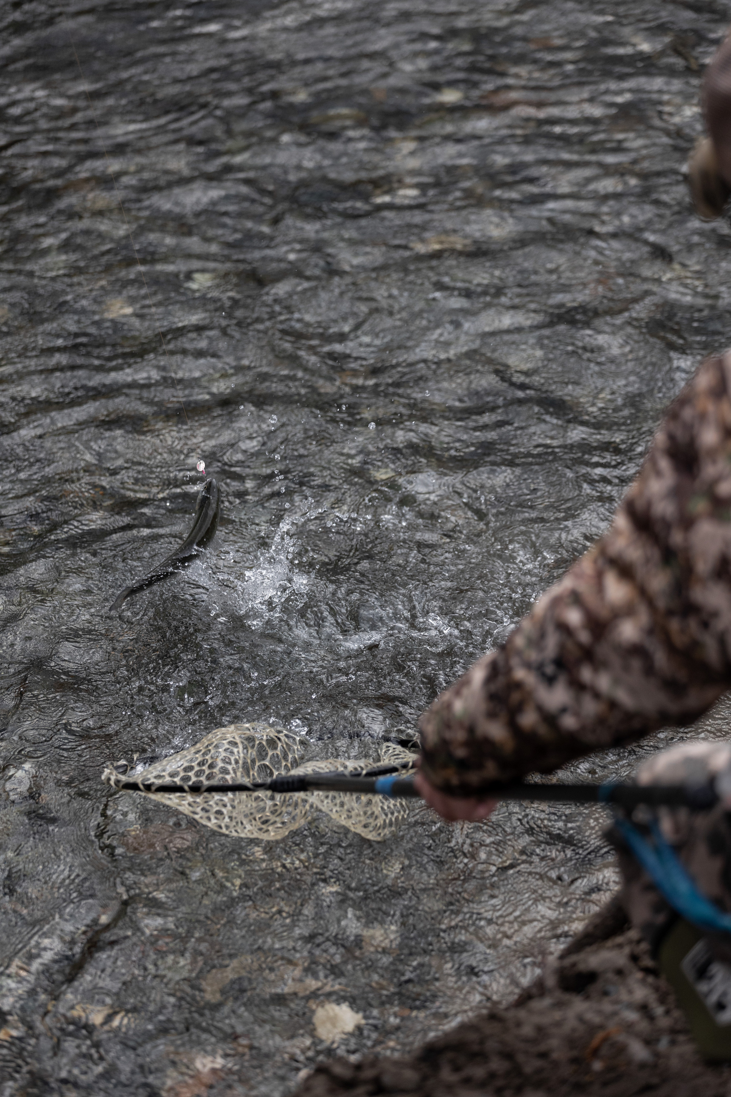 Fishing. Photographer in Saint-Petersburg and Moscow Max Spector