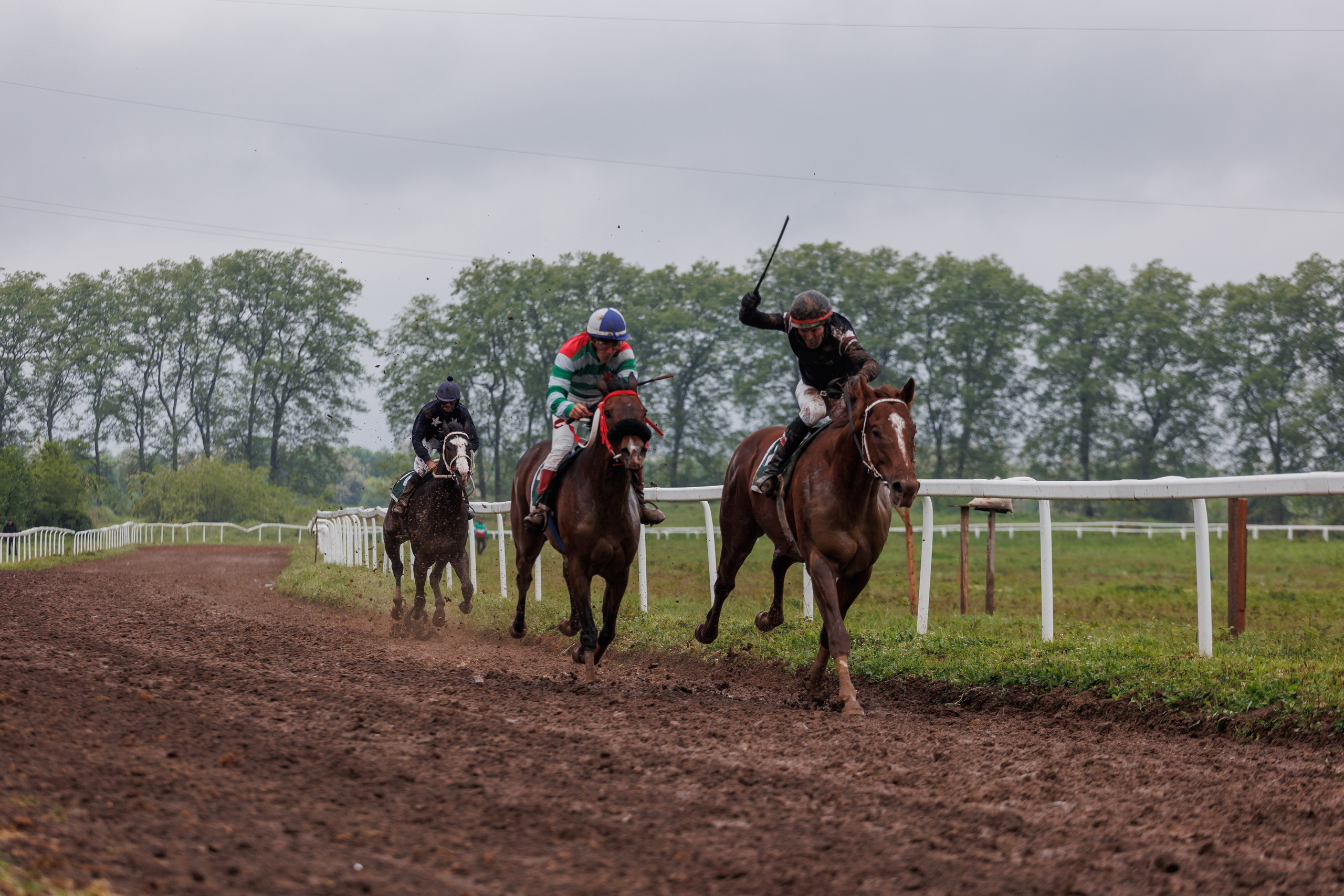 Horse racing. Photographer in Saint-Petersburg and Moscow Max Spector