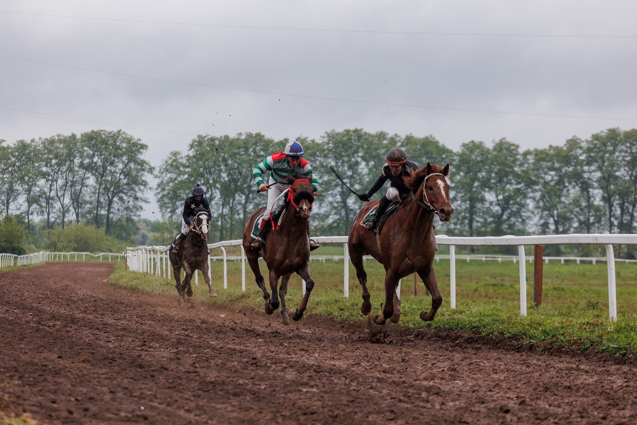 Horse racing. Photographer in Saint-Petersburg and Moscow Max Spector