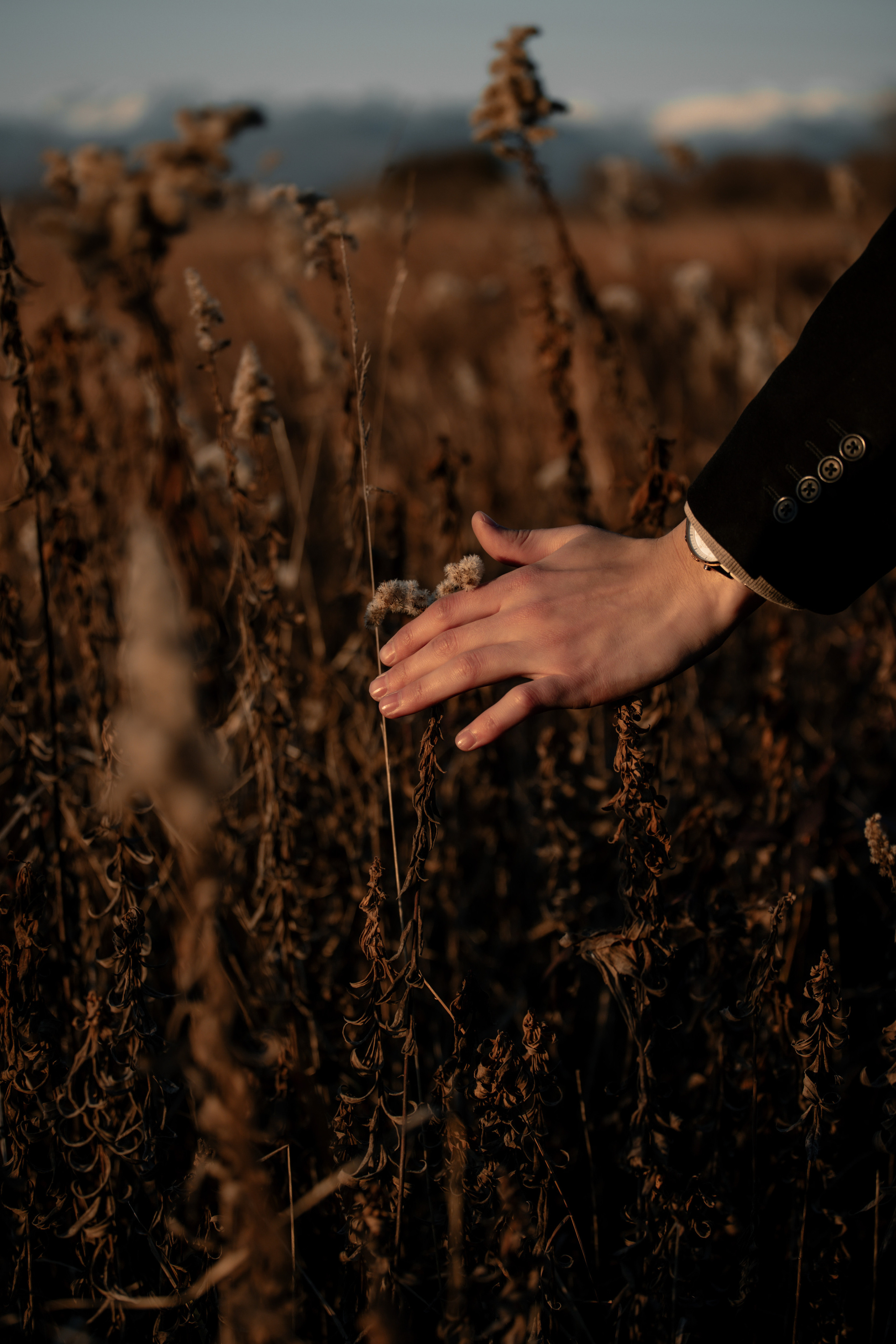 Поля с кириллом. Фотограф в Санкт-Петербурге и Москве Макс Спектор