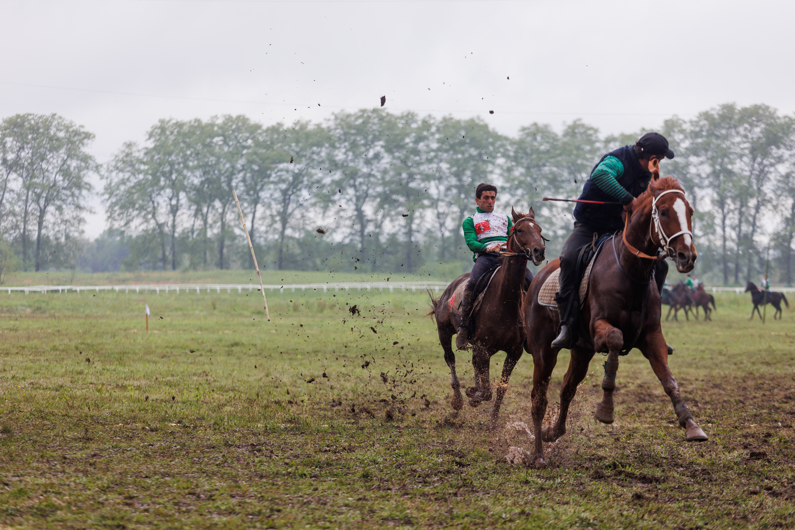 Horse racing. Photographer in Saint-Petersburg and Moscow Max Spector