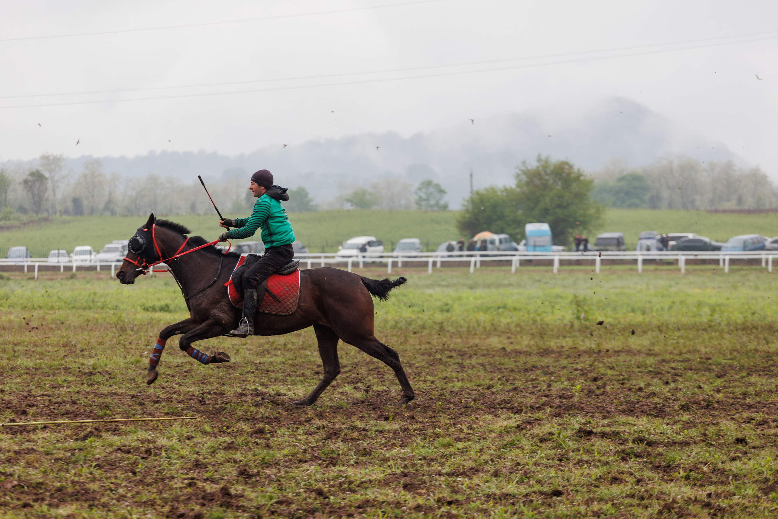 Horse racing. Photographer in Saint-Petersburg and Moscow Max Spector