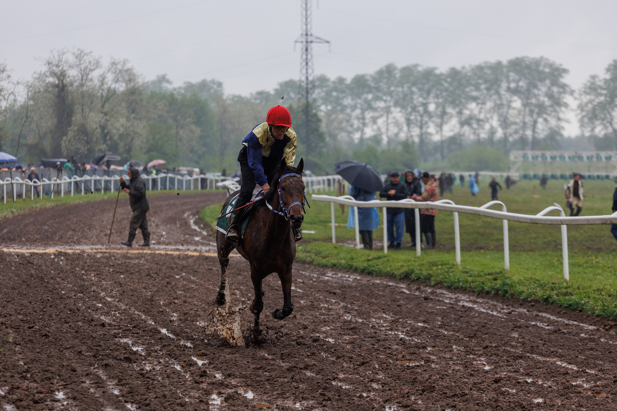 Horse racing. Photographer in Saint-Petersburg and Moscow Max Spector