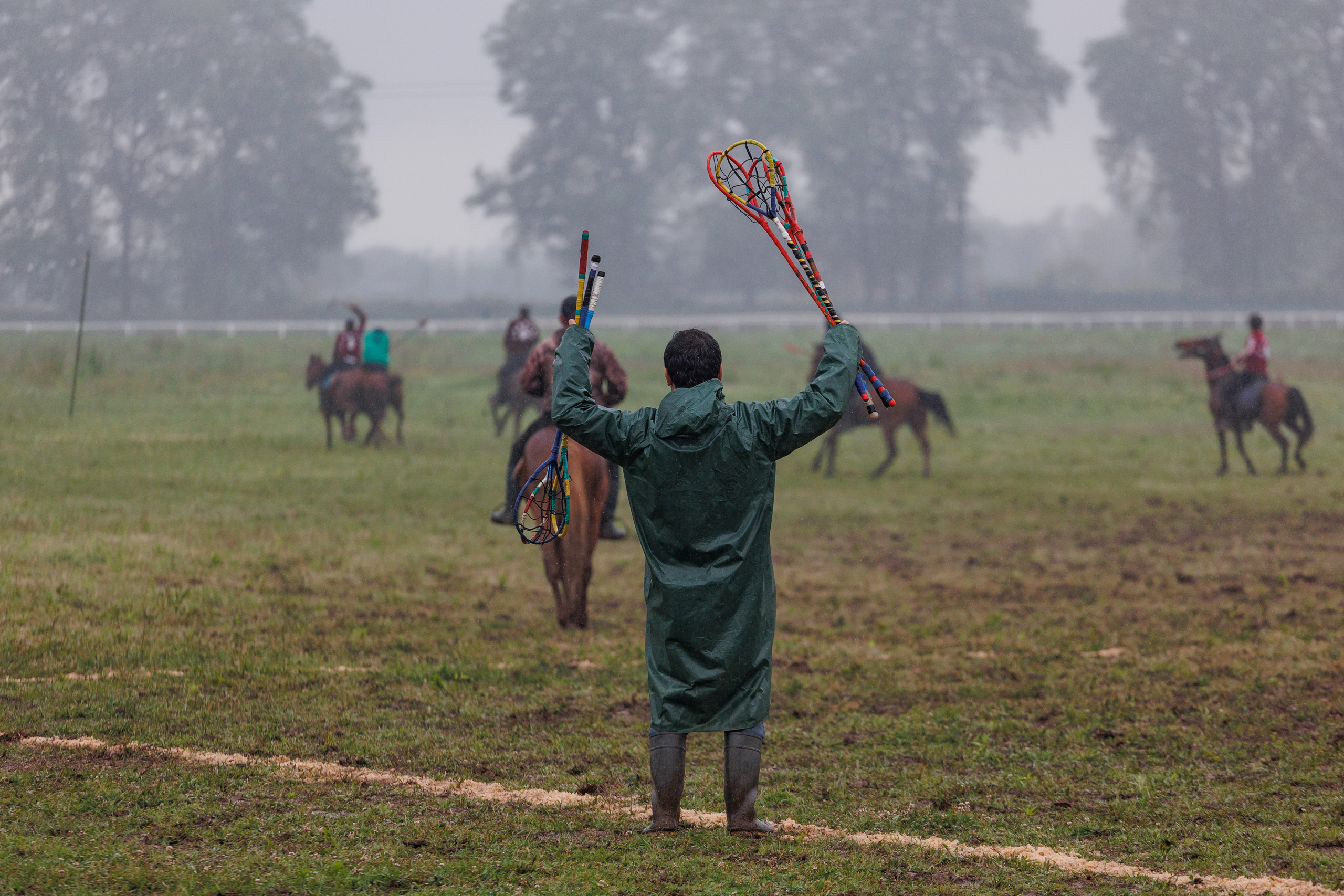 Horse racing. Photographer in Saint-Petersburg and Moscow Max Spector