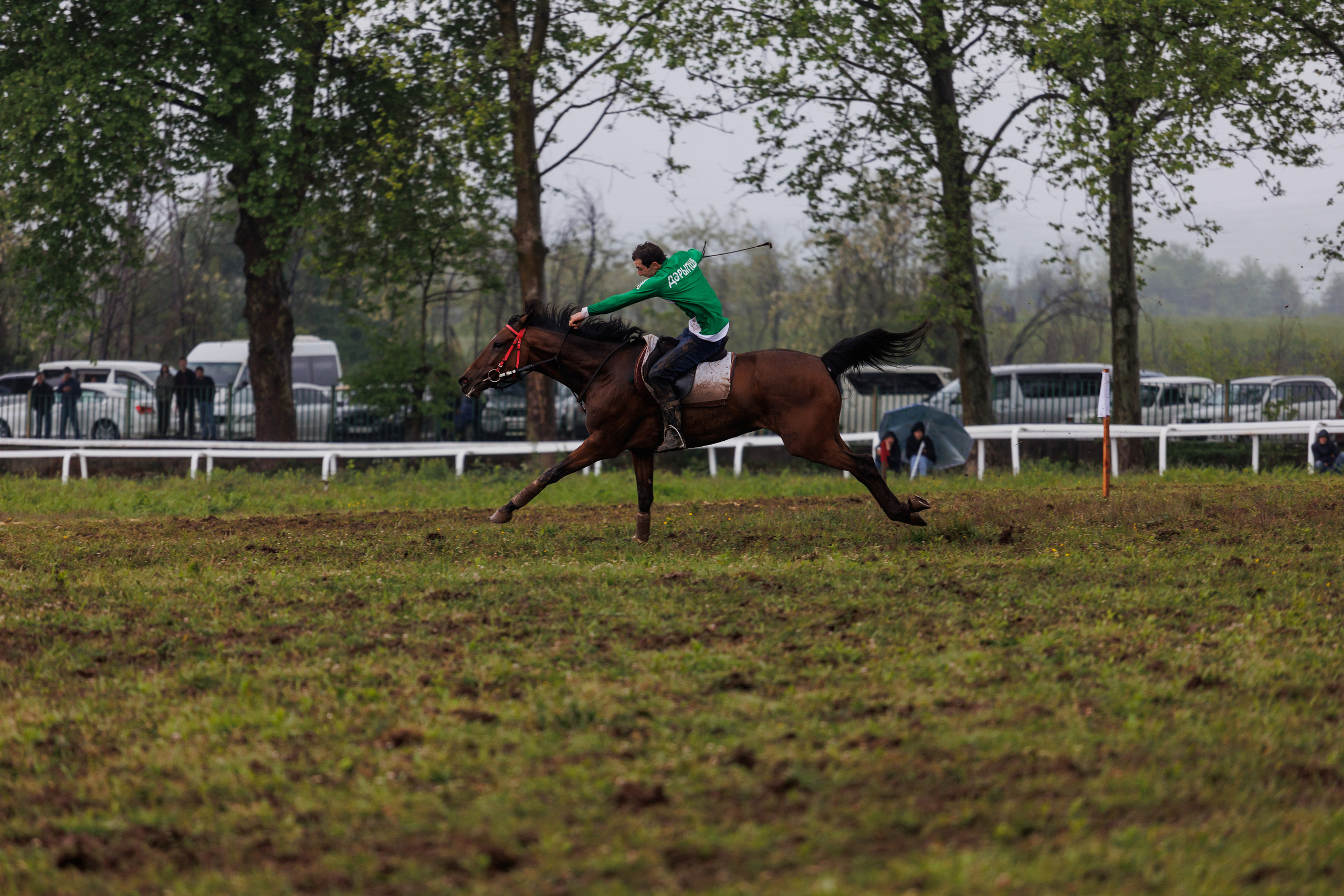 Horse racing. Photographer in Saint-Petersburg and Moscow Max Spector