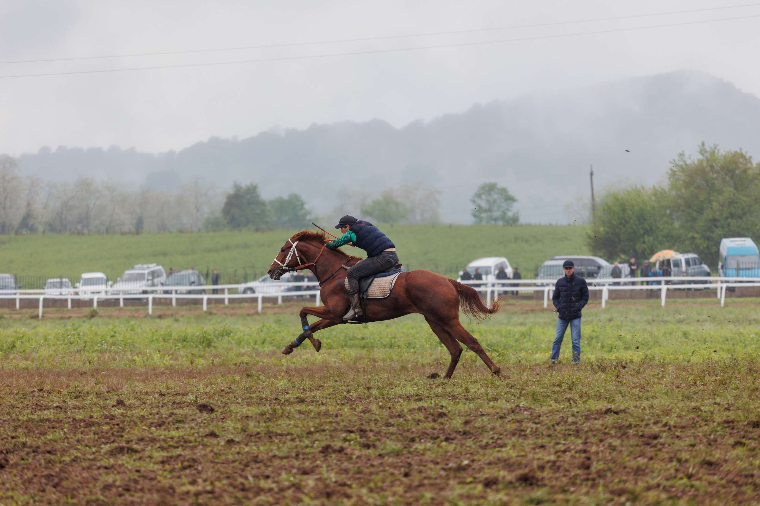 Horse racing. Photographer in Saint-Petersburg and Moscow Max Spector