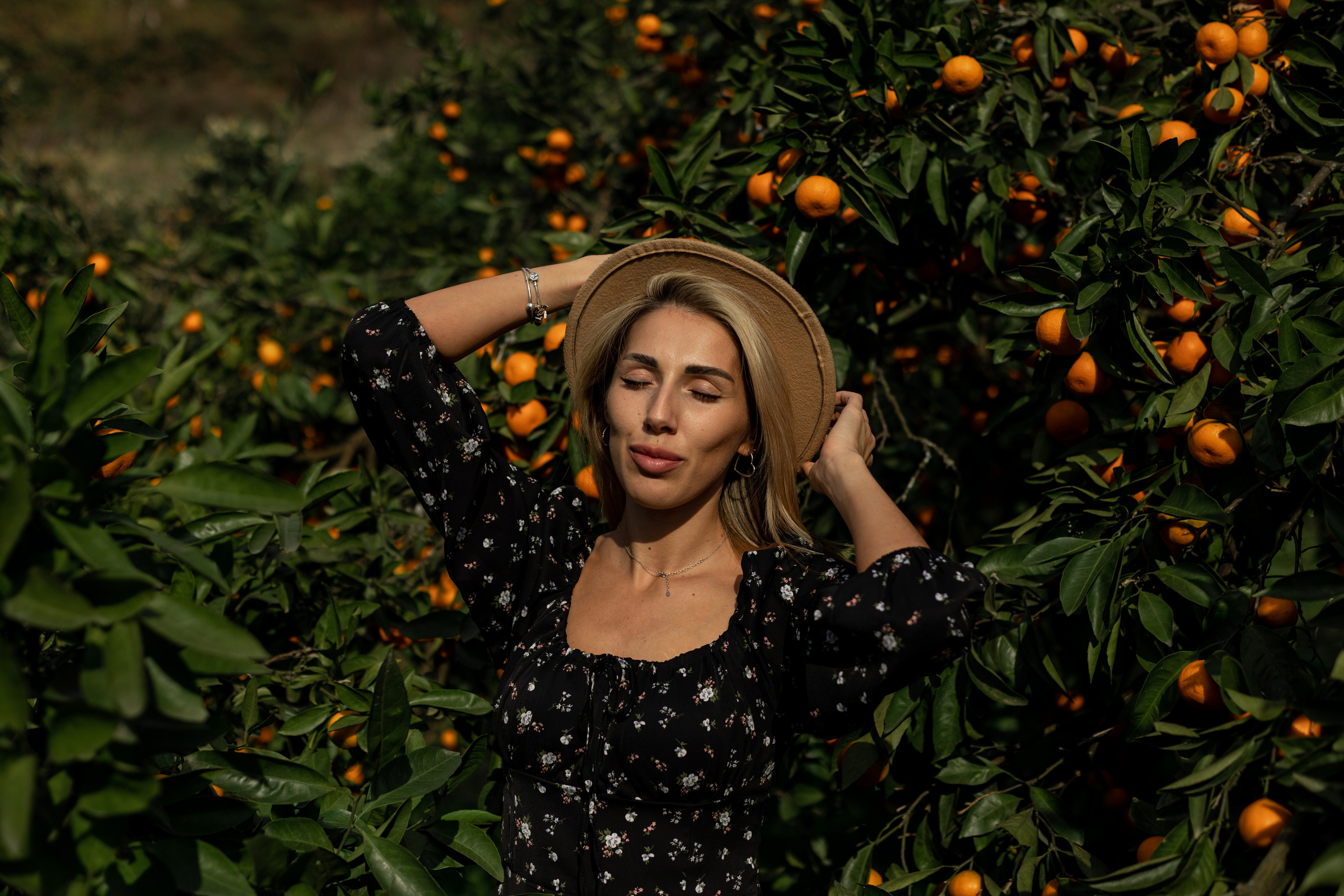 Tangerine grove. Photographer in Saint-Petersburg and Moscow Max Spector