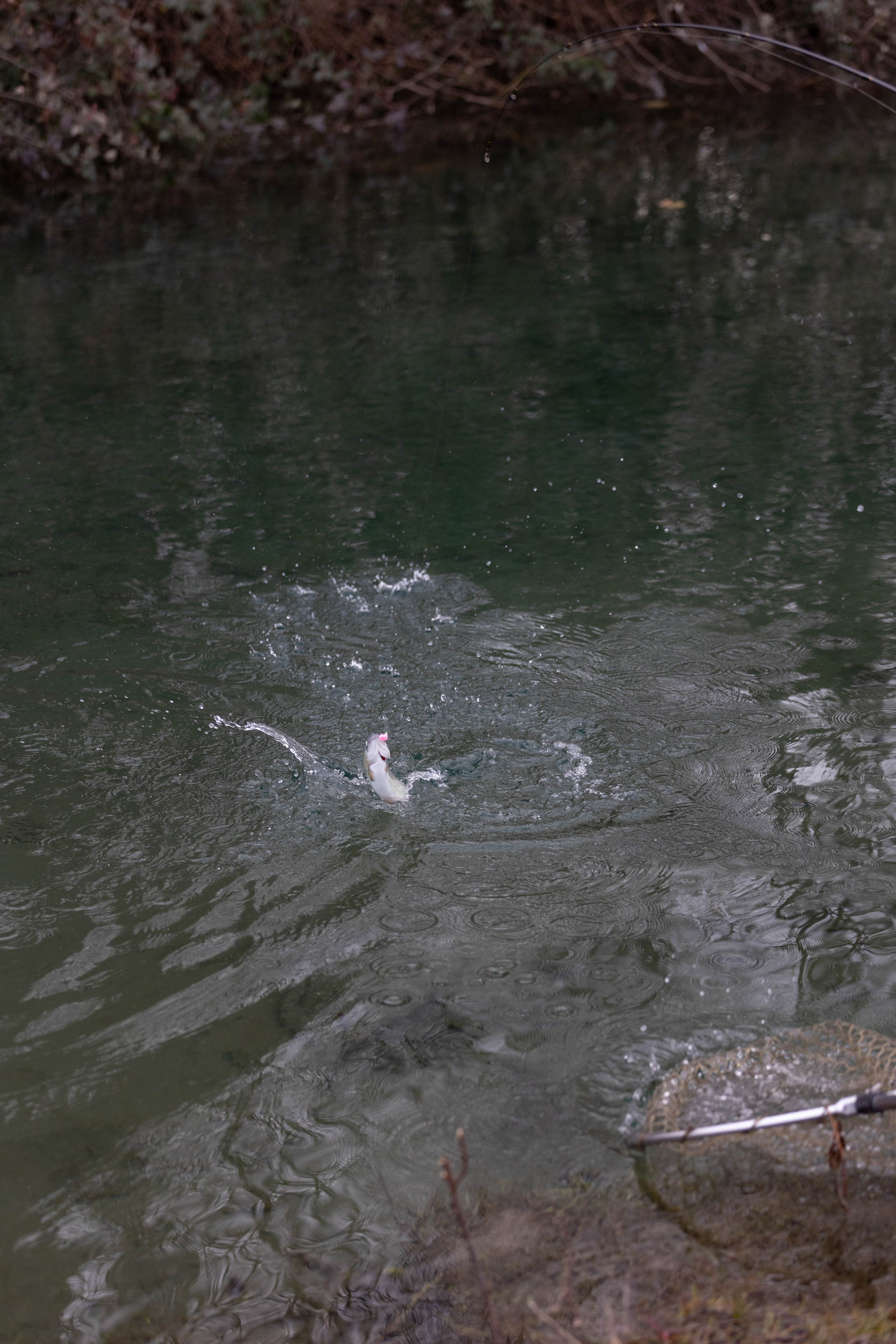 Fishing. Photographer in Saint-Petersburg and Moscow Max Spector