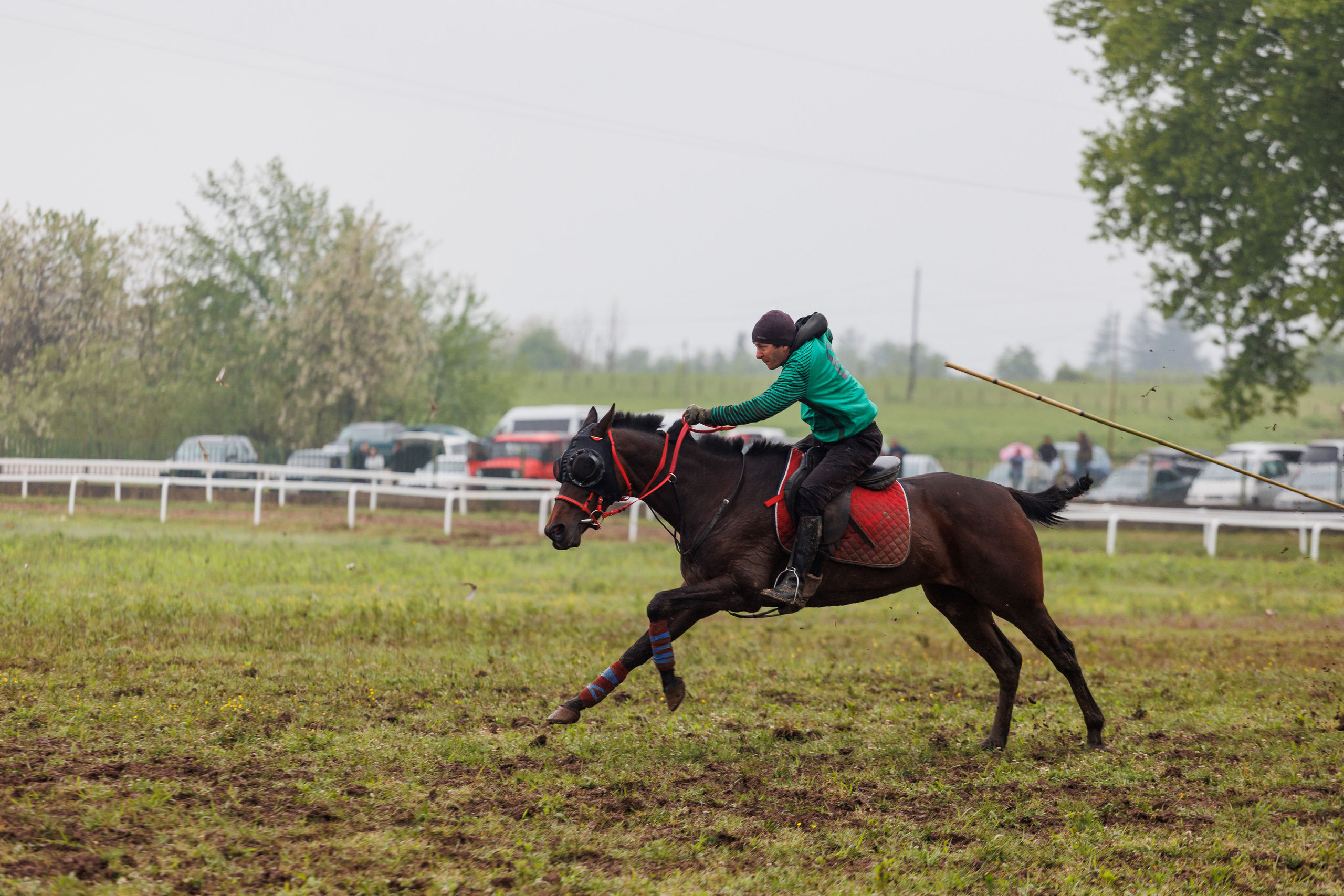 Horse racing. Photographer in Saint-Petersburg and Moscow Max Spector
