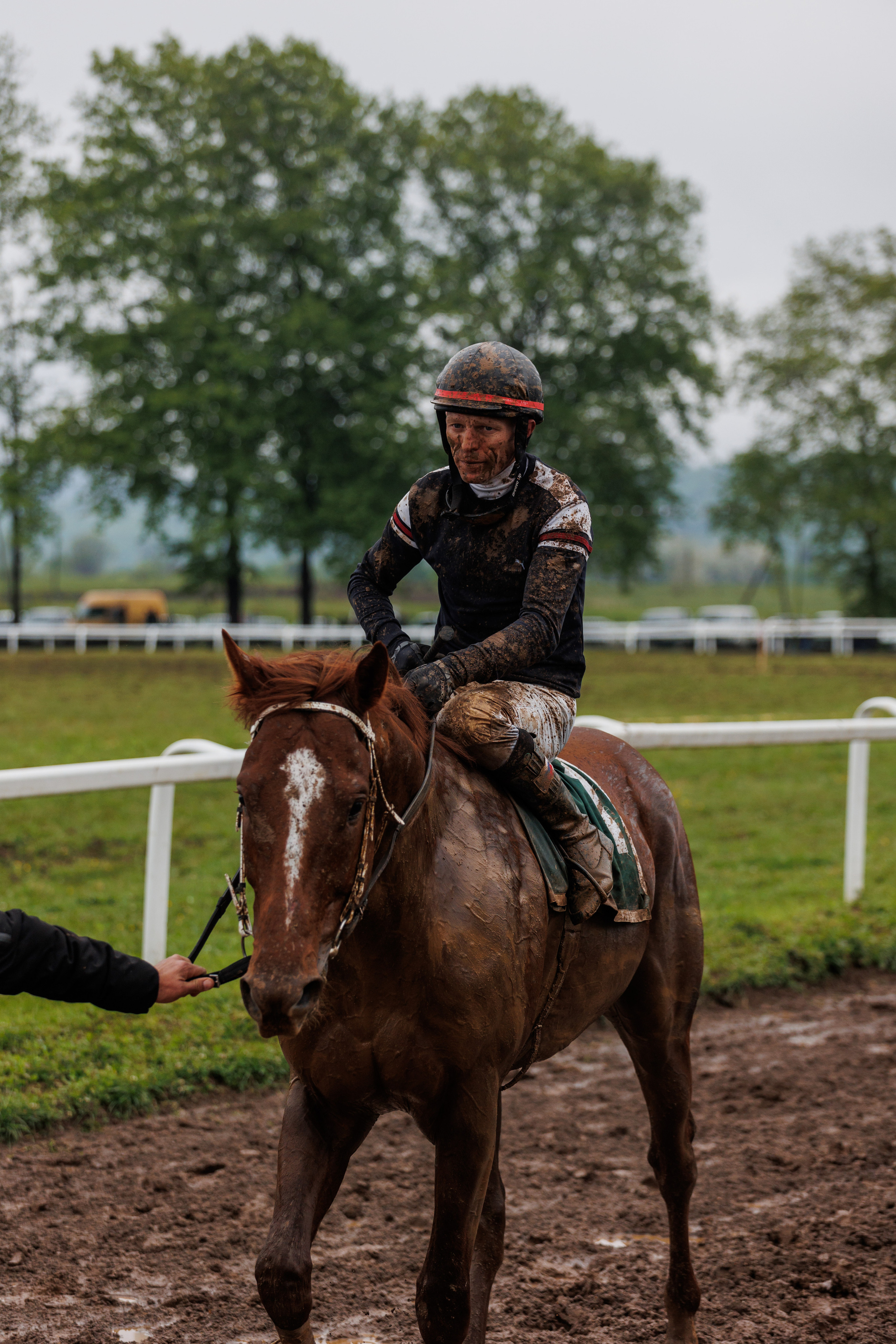 Horse racing. Photographer in Saint-Petersburg and Moscow Max Spector