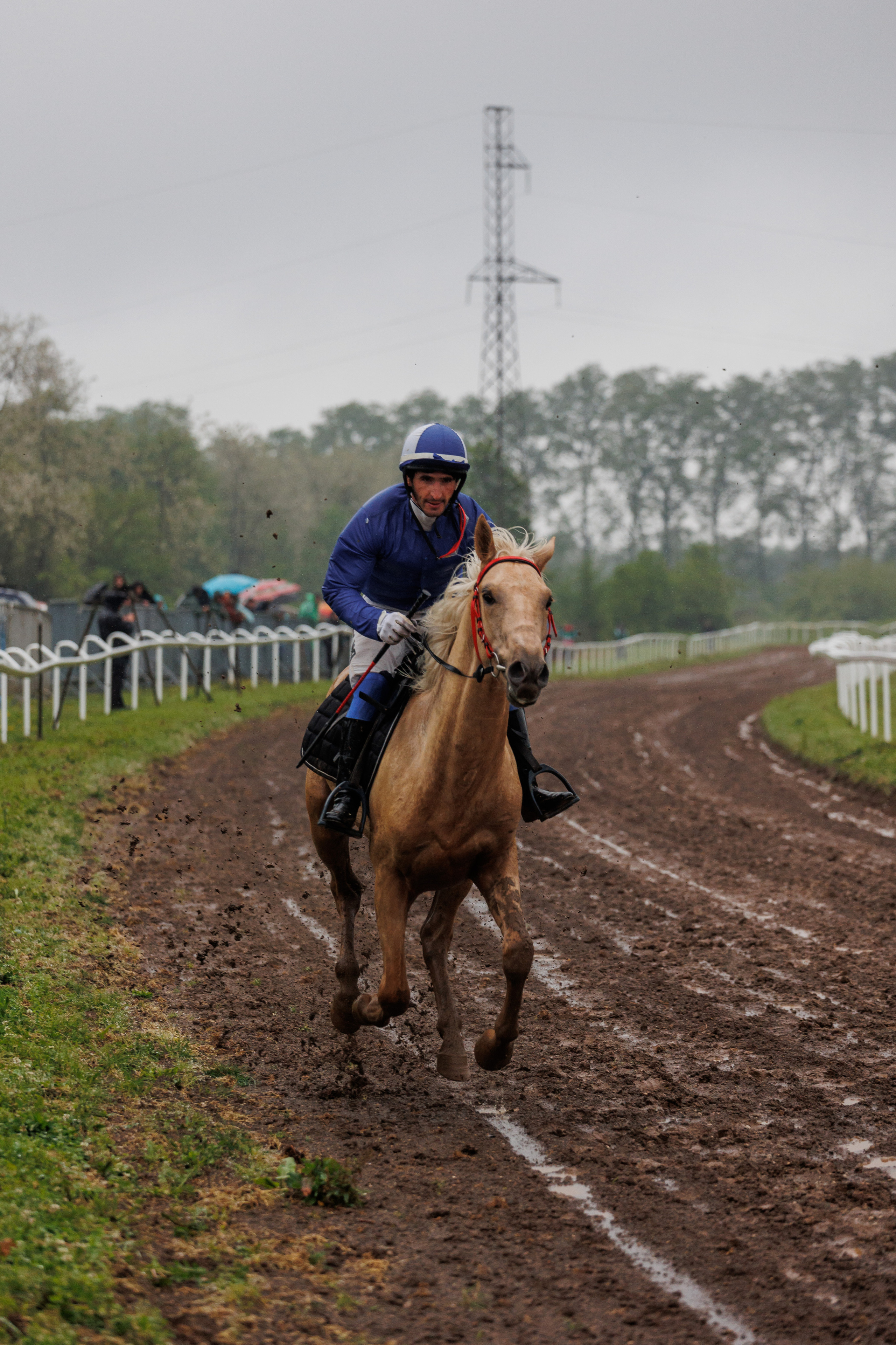 Horse racing. Photographer in Saint-Petersburg and Moscow Max Spector