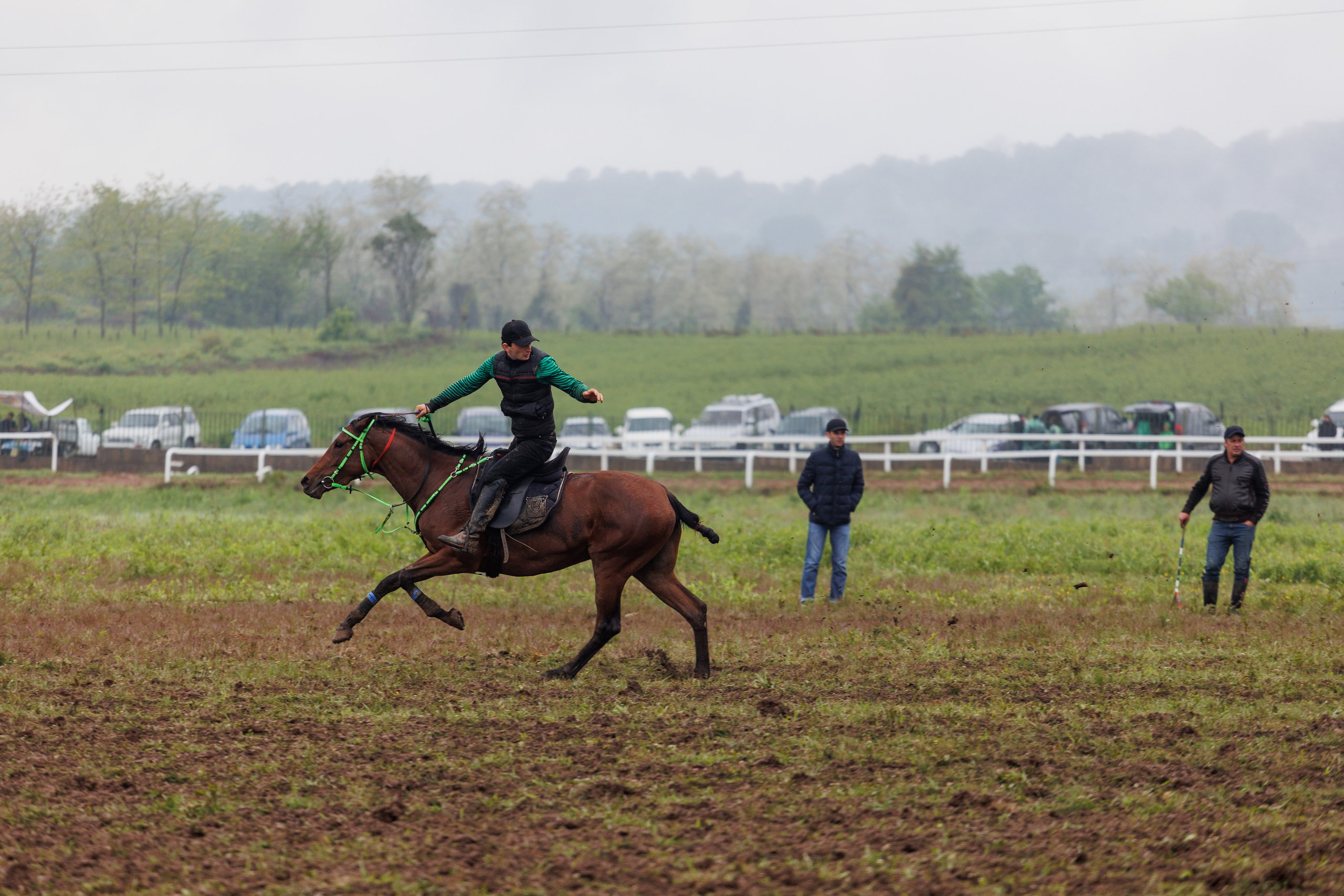 Horse racing. Photographer in Saint-Petersburg and Moscow Max Spector