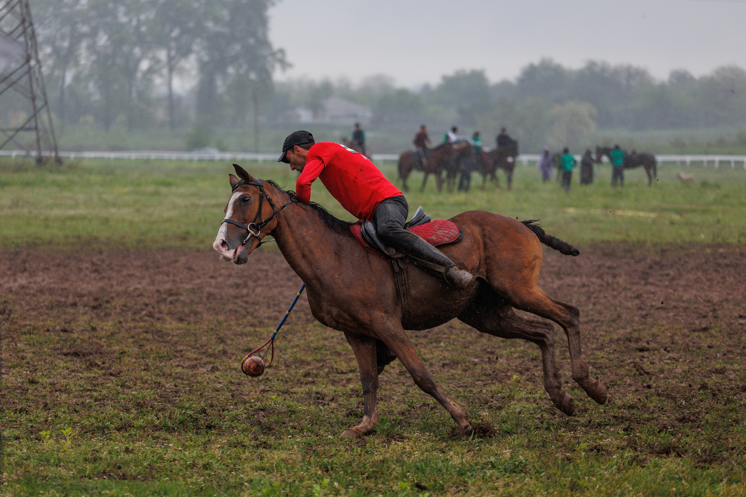Horse racing. Photographer in Saint-Petersburg and Moscow Max Spector