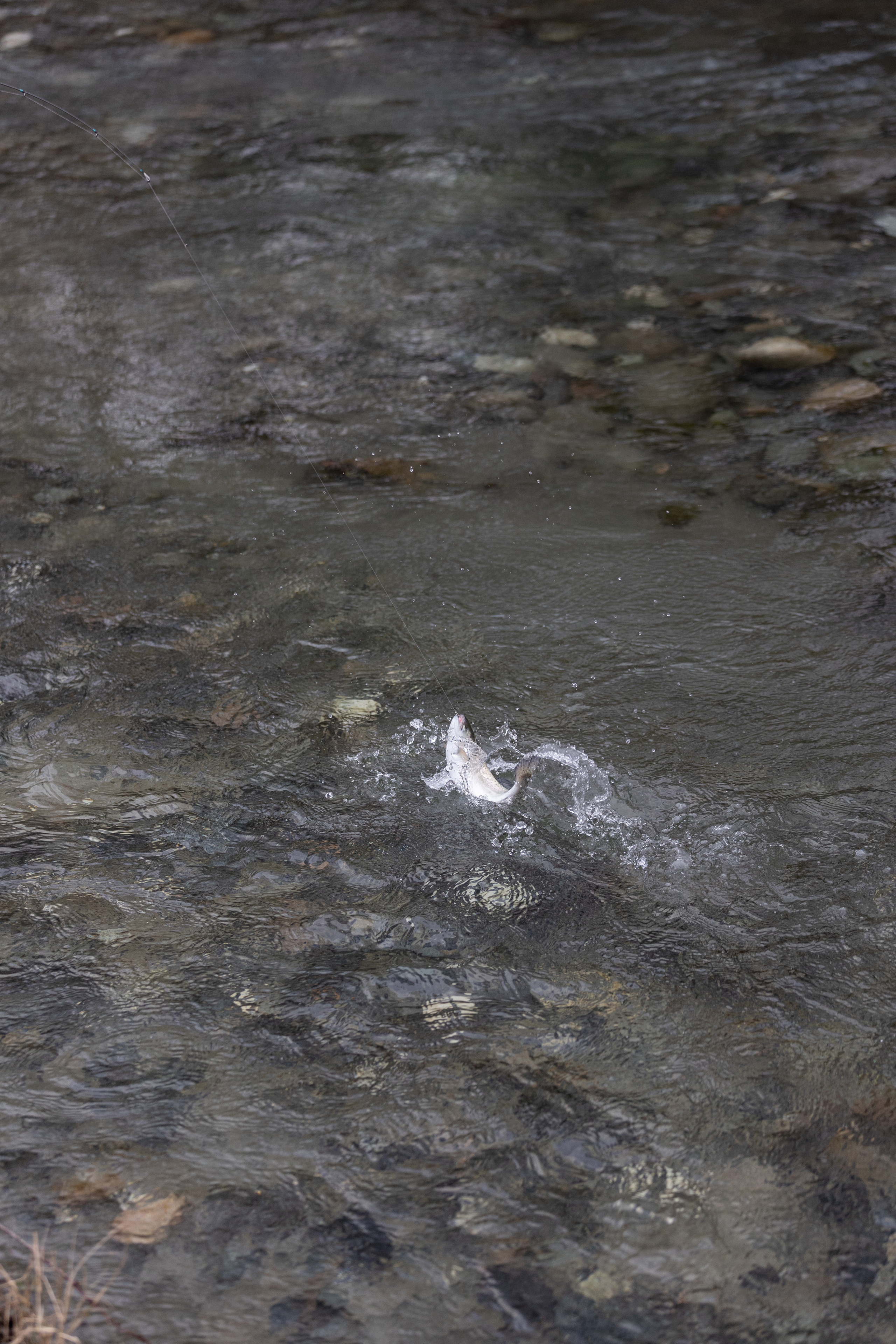 Fishing. Photographer in Saint-Petersburg and Moscow Max Spector