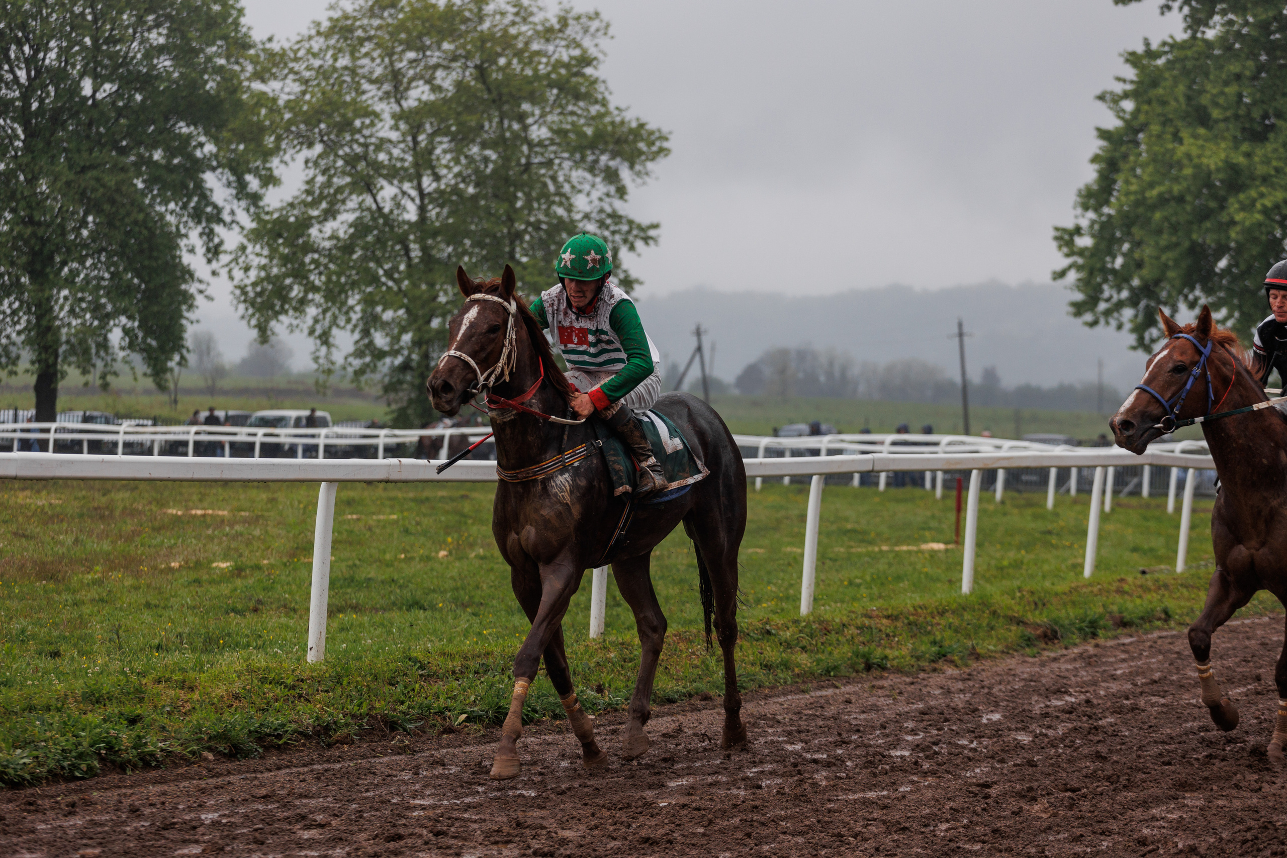 Horse racing. Photographer in Saint-Petersburg and Moscow Max Spector