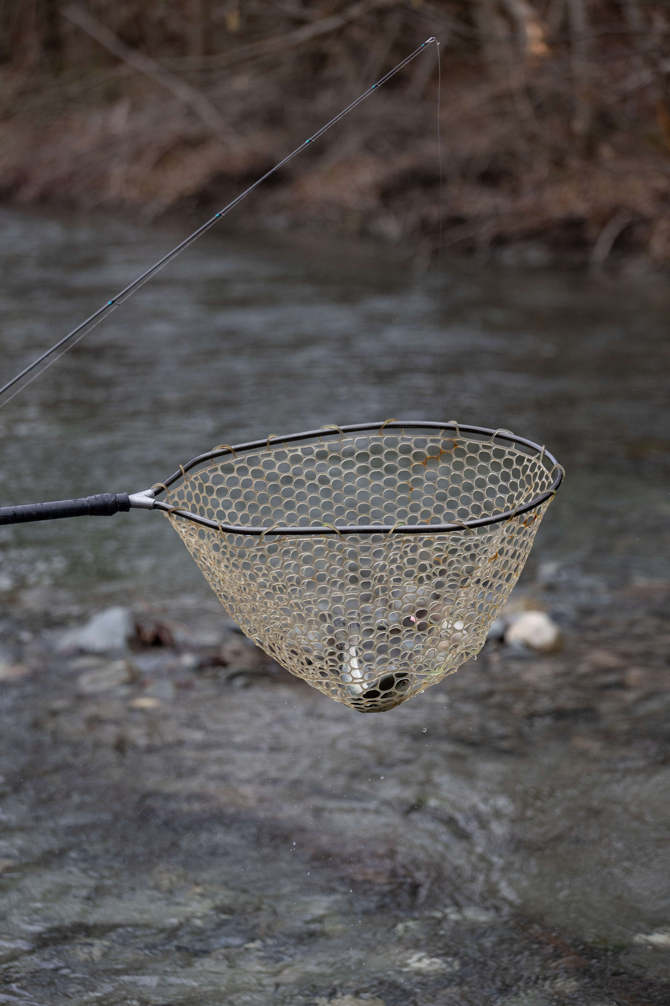 Fishing. Photographer in Saint-Petersburg and Moscow Max Spector