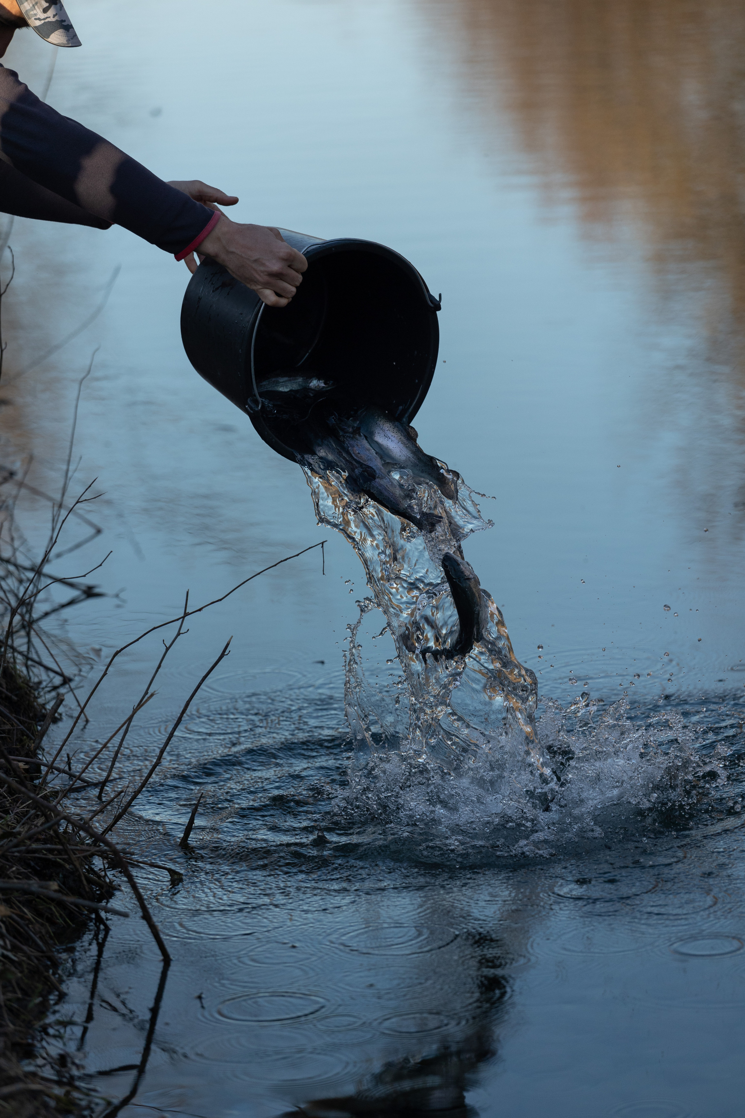 Fishing. Photographer in Saint-Petersburg and Moscow Max Spector